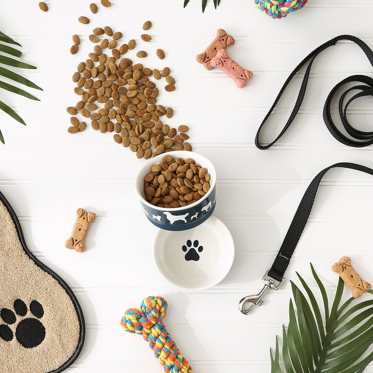 Navy Dog Show Pet Bowl Set/2, Small - 3/4 C Capacity