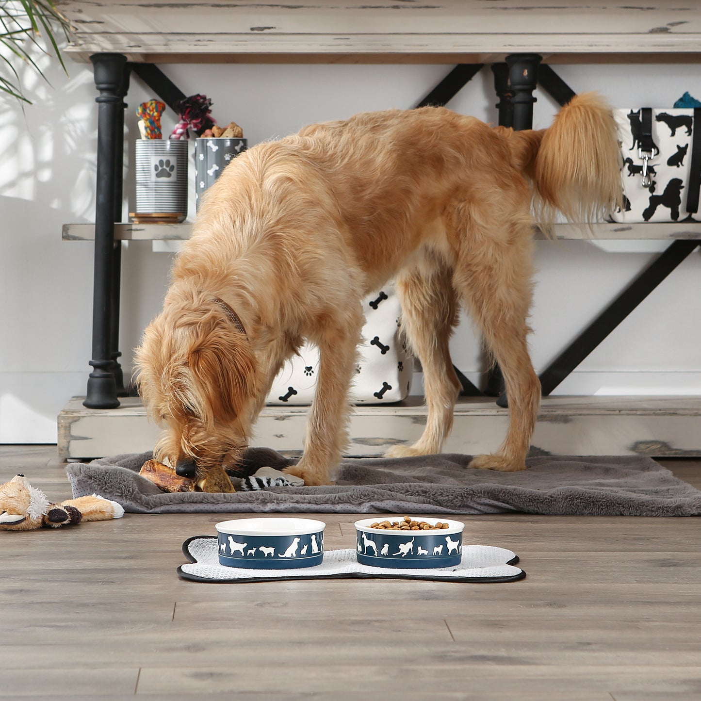 Navy Dog Show Pet Bowl Set/2, Medium - 1.5 C. Capacity