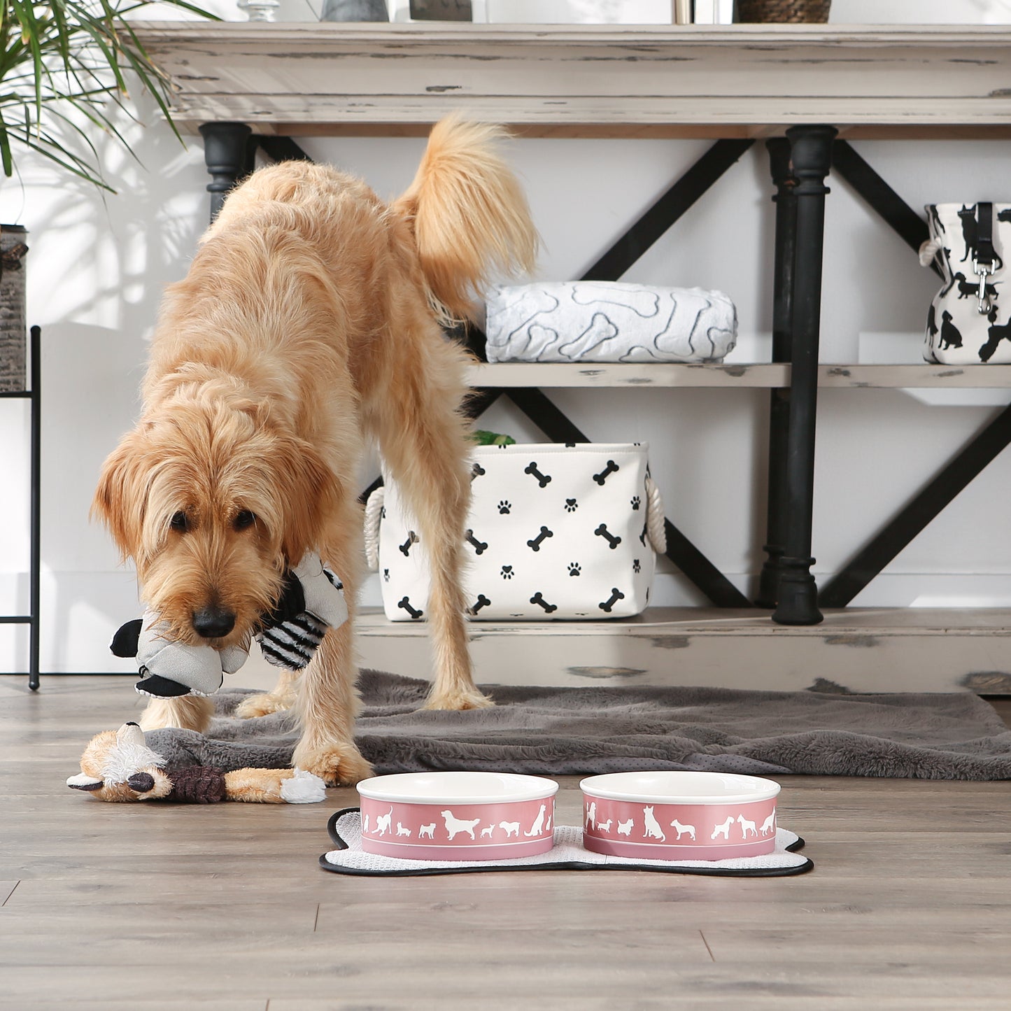 Rose Dog Show Pet Bowl Set/2, Large 3.75 C. Capacity