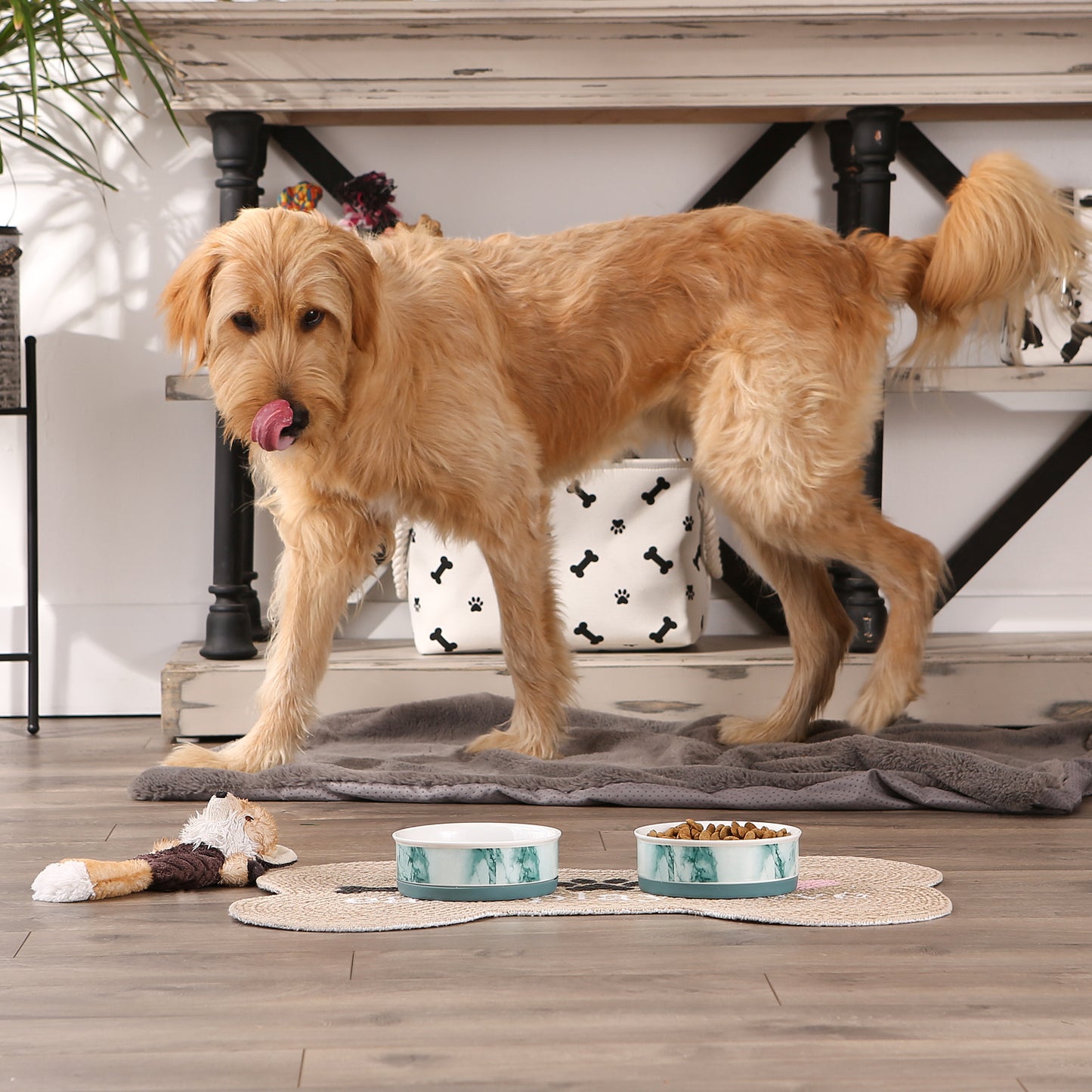 Pet Bowl Teal Marble Medium 6Dx2H Set of 2