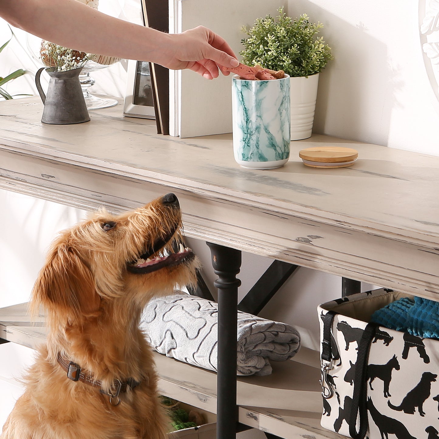 Teal Marble Pet Treat Canister - 4.5 Cup Capacity