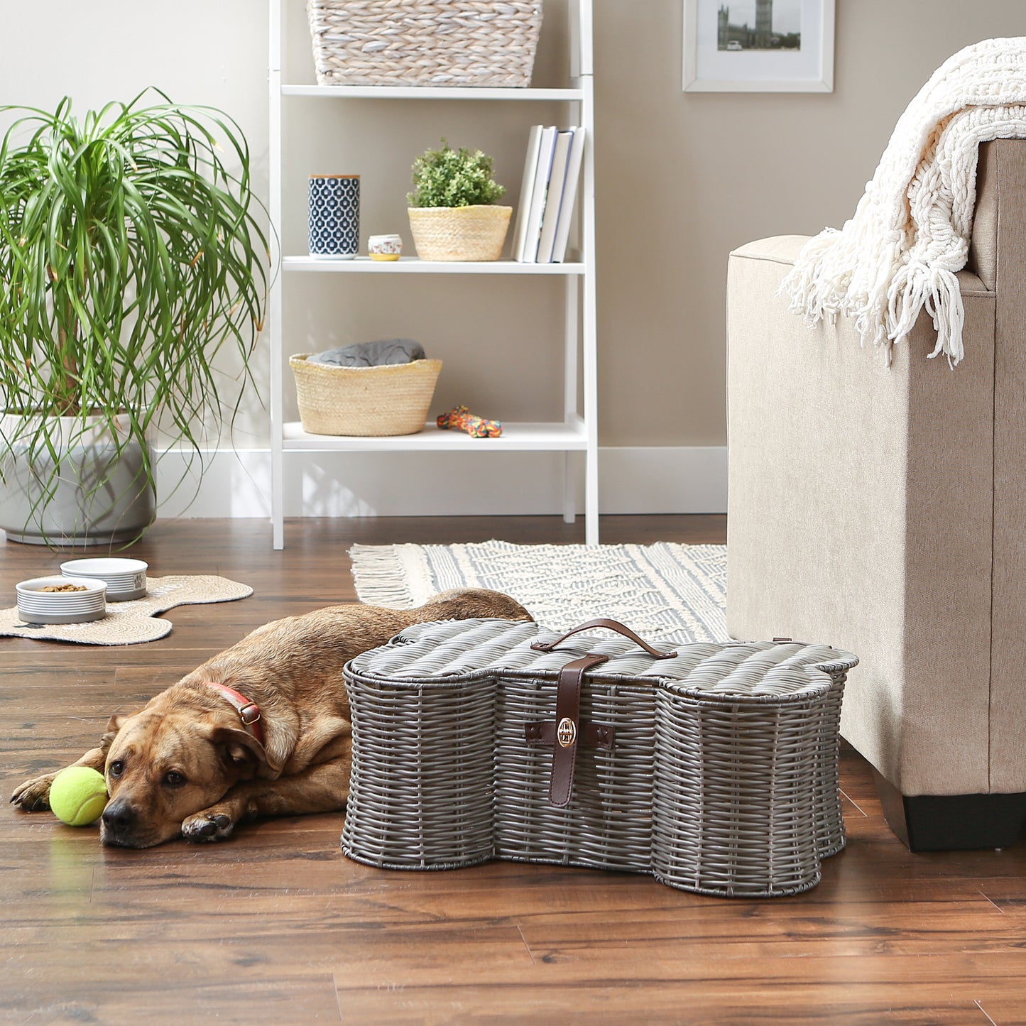 Bone Dry Pet Toy Storage Basket, Bone Shaped, Gray, Medium - 21x13x8"