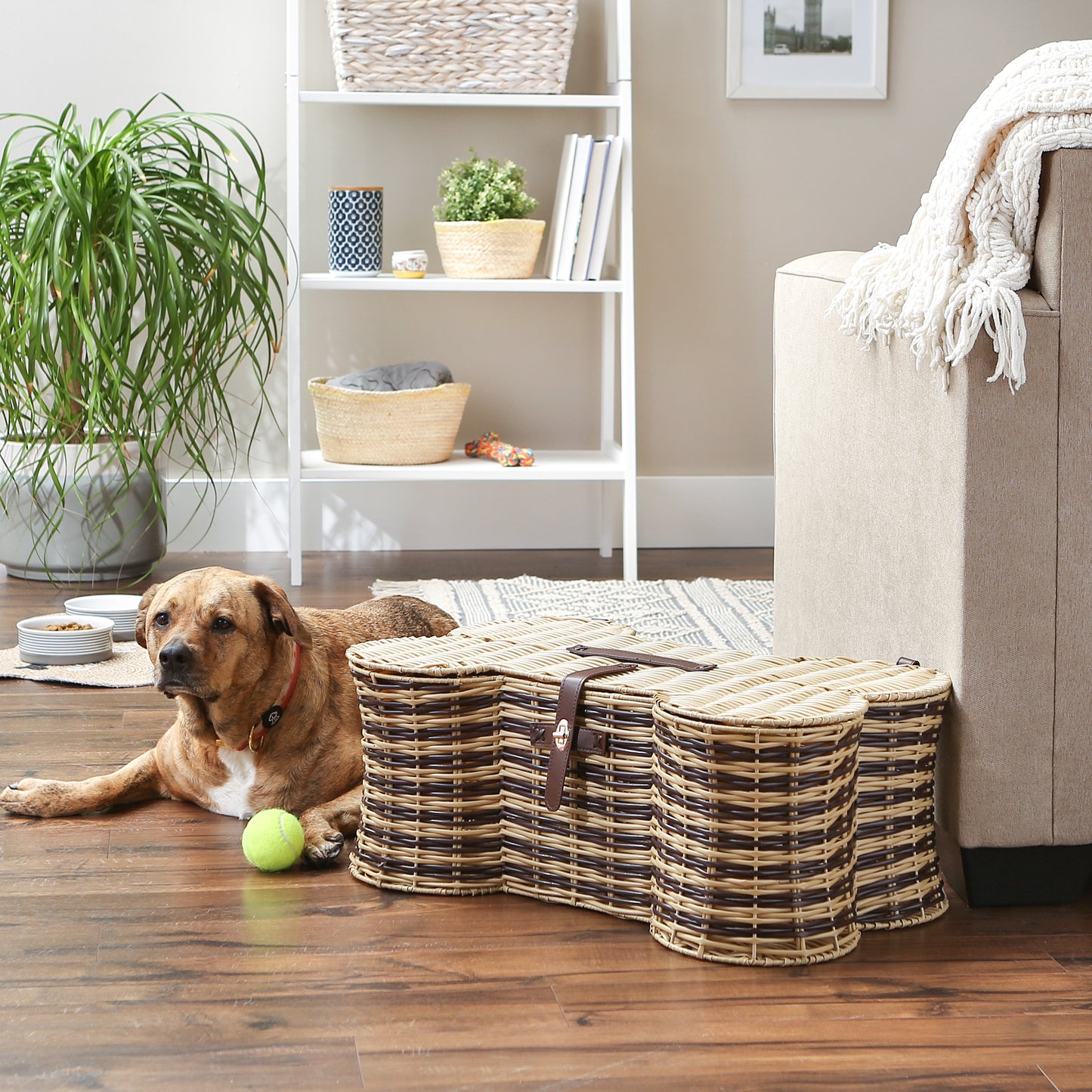 Bone Dry Pet Toy Storage Basket, Bone Shaped, Stripe, Large - 24x15x9"