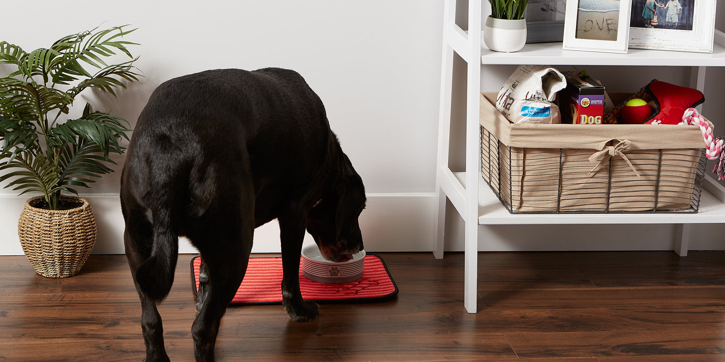 Red Stripe Embroidered Bone Pet Mat