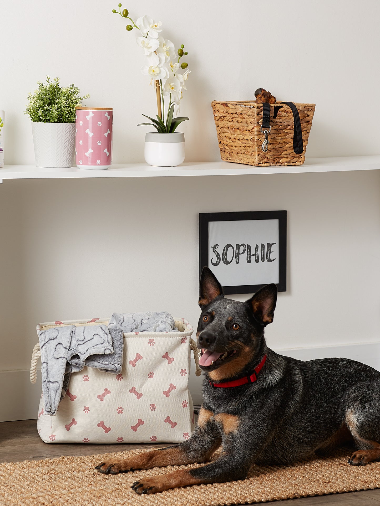 Bone Dry Collapsible Pet Storage Bin, Paw/Bone Print, Rose, Small - 14x8x9"