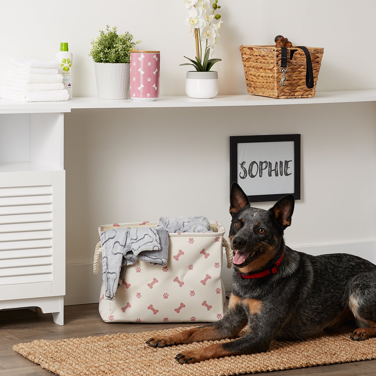 Bone Dry Collapsible Pet Storage Bin, Paw/Bone Print, Rose, Small - 14x8x9"