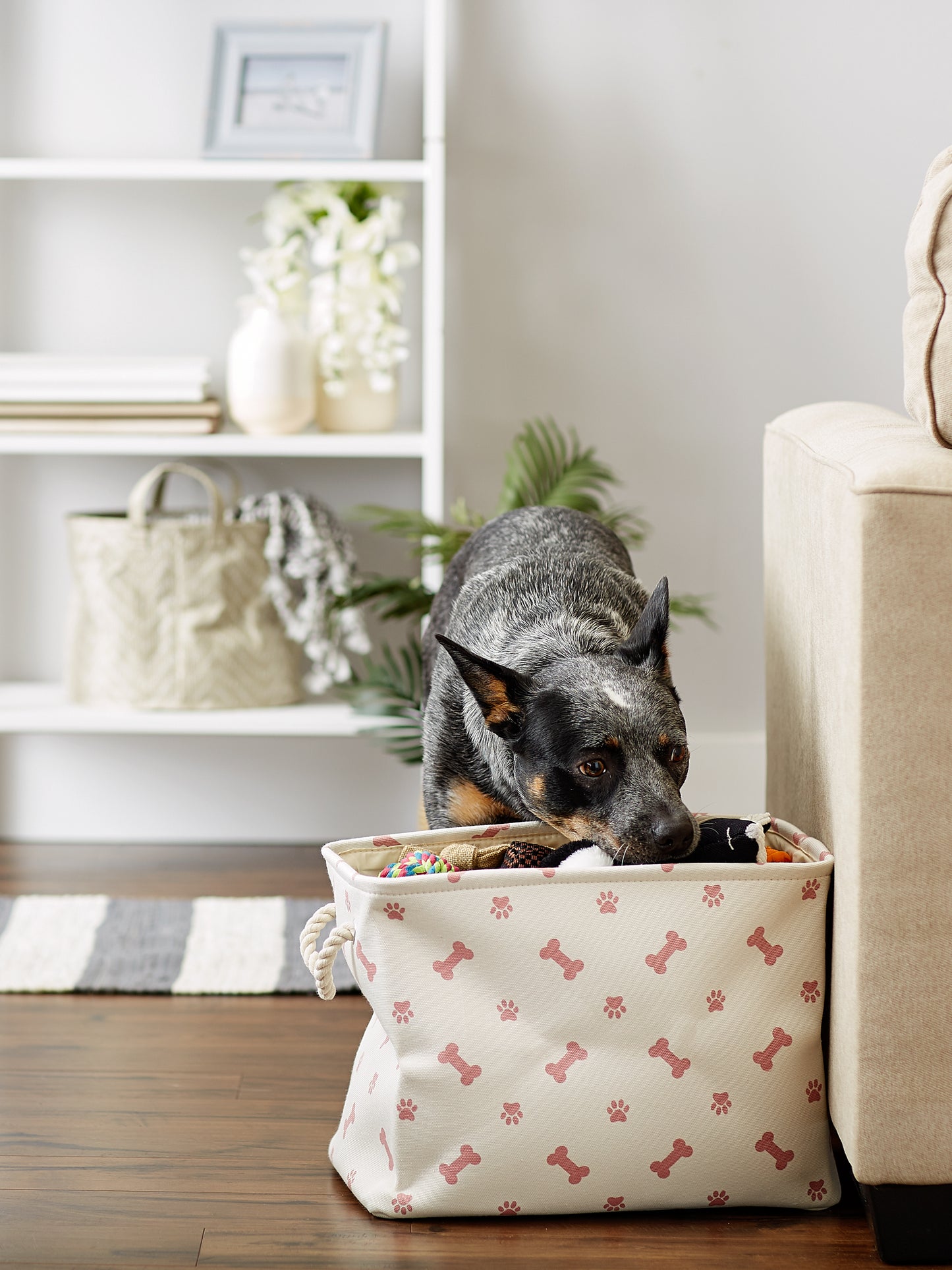 Bone Dry Collapsible Pet Storage Bin, Paw/Bone Print, Rose, Small - 14x8x9"