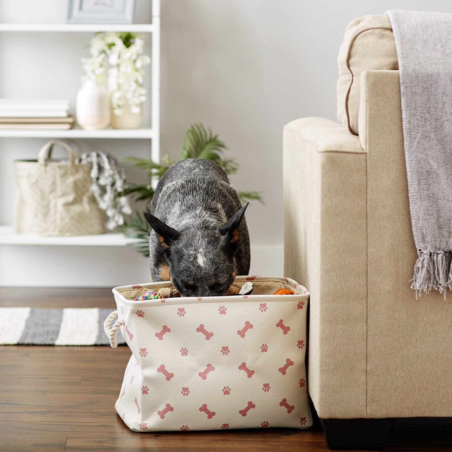 Bone Dry Collapsible Pet Storage Bin, Paw/Bone Print, Rose, Small - 14x8x9"