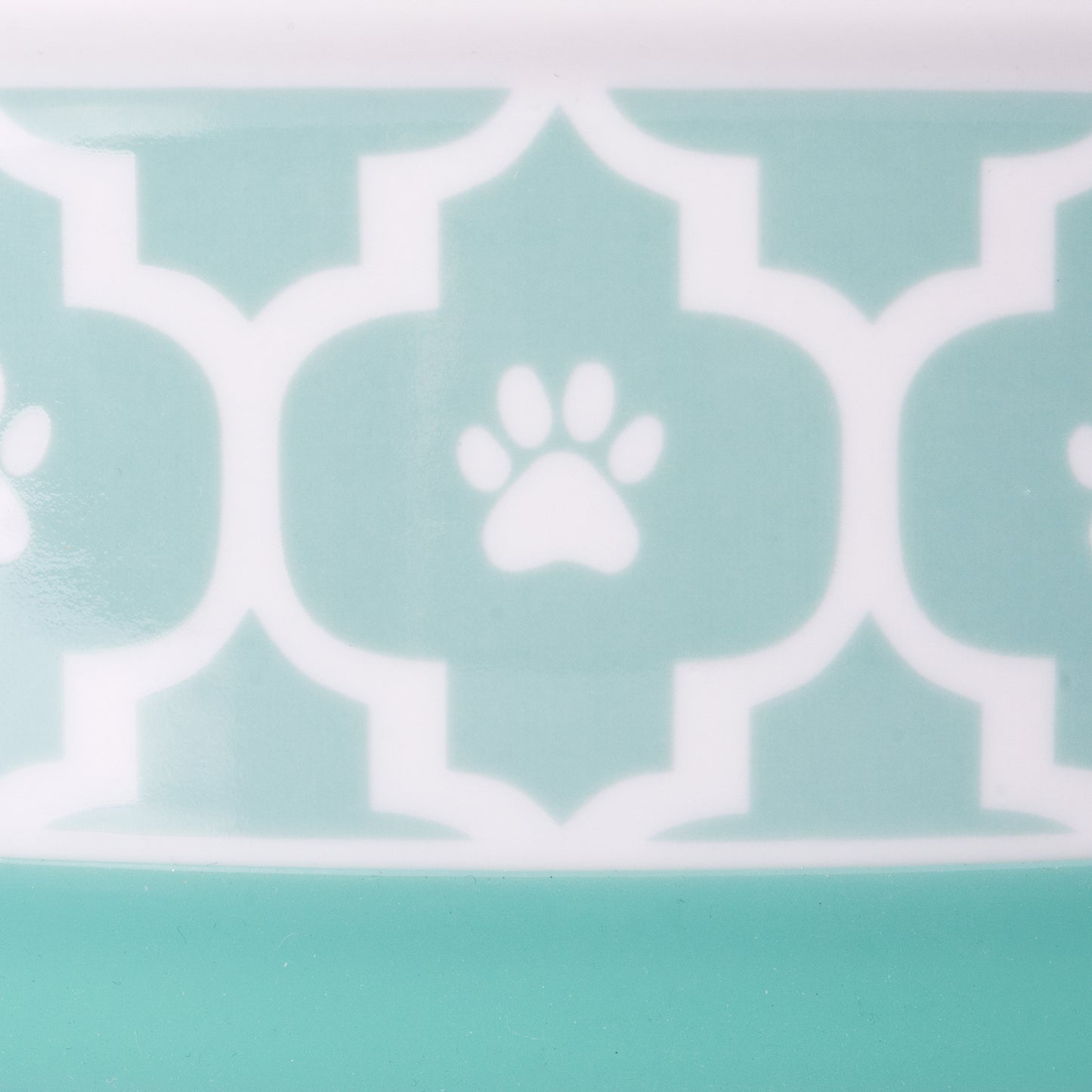 Pet Bowl Lattice Aqua Medium 6Dx2H