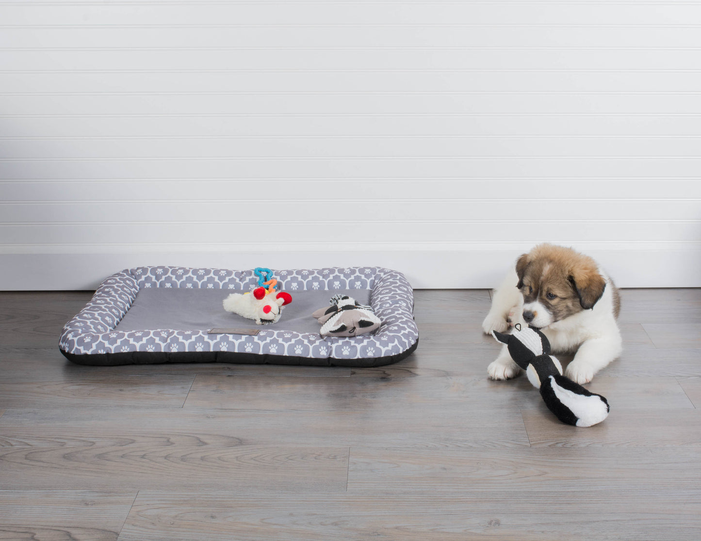 Bone Dry Pet Bed/Mat, Lattice Paw Print Border Cushion, Gray, Medium - 20x28"