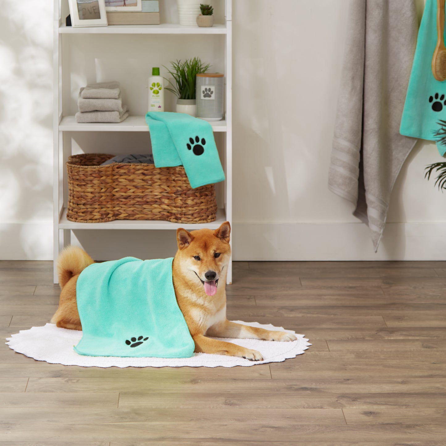 Bone Dry Small Pet Towel Set - 3 Pack - Embroidered Paw, Aqua, 15x30"