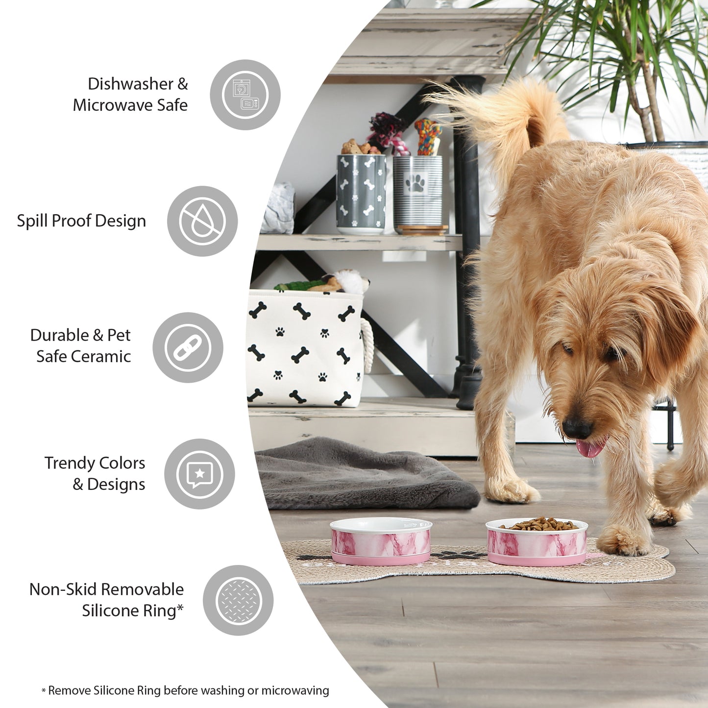 Pansy Petite Check Pet Bowl Set/2, Small - 3/4 C Capacity