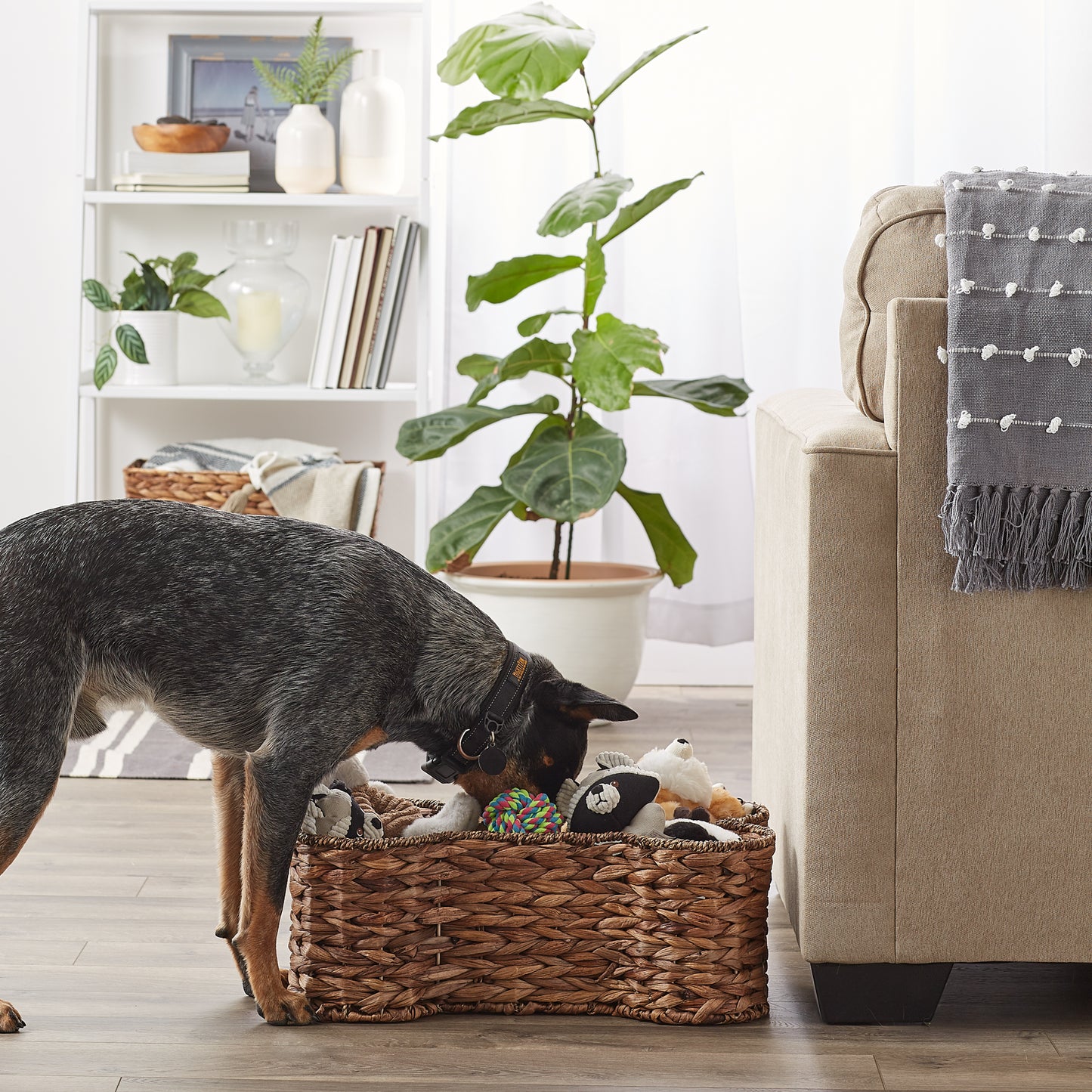 Bone Dry Hyacinth Pet Storage Basket, Bone Shaped, Brown, Medium - 21x13x8"