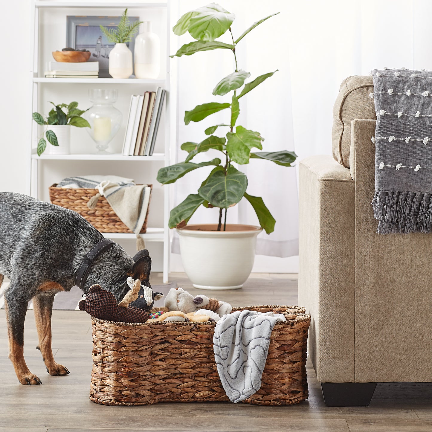 Bone Dry Hyacinth Pet Storage Basket, Bone Shaped, Brown, Large - 24x15x9"