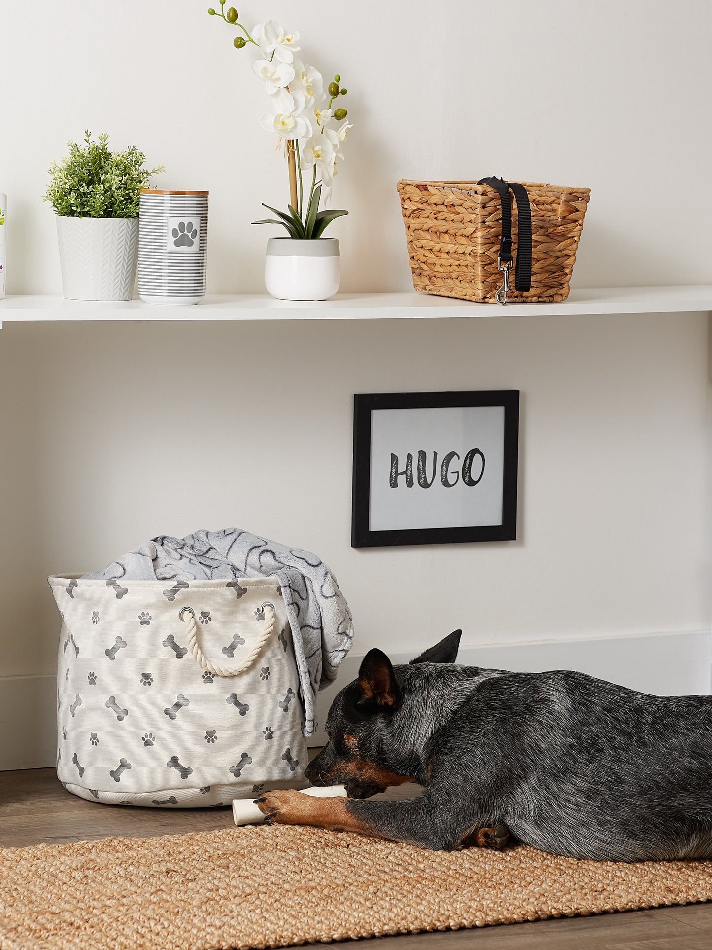 Bone Dry Collapsible Pet Storage Bin, Paw/Bone Print, Gray, Medium Round - 12x15x15"