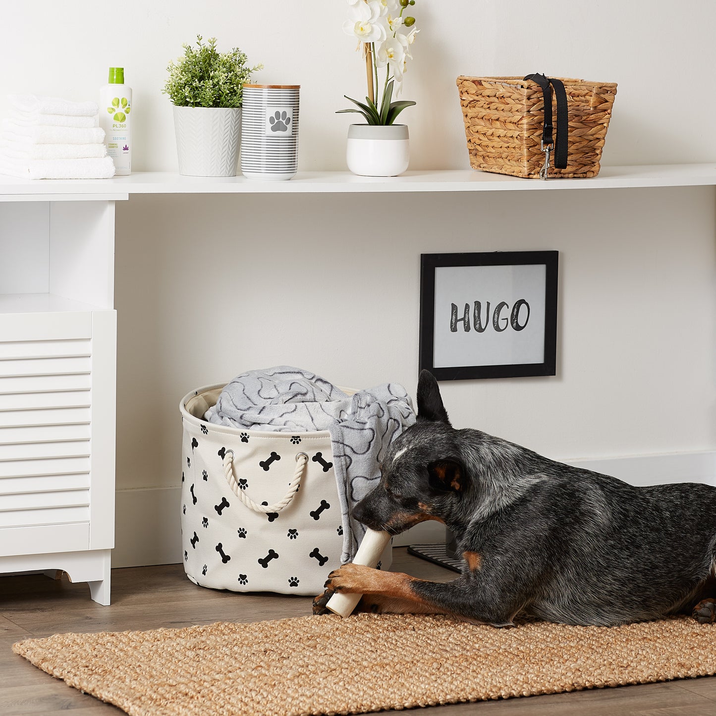 Bone Dry Collapsible Pet Storage Bin, Paw/Bone Print, Black, Medium Round -12x15x15"