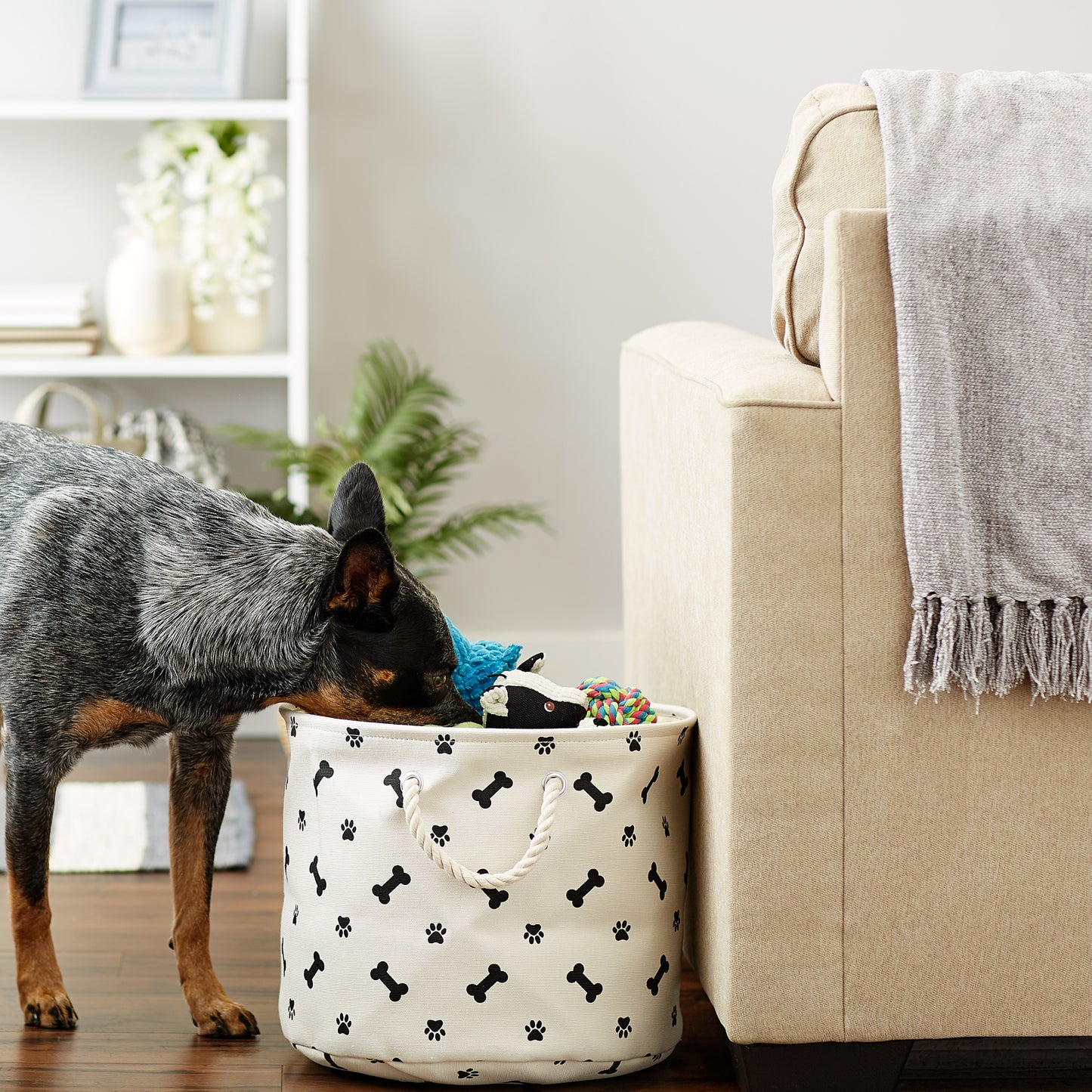 Bone Dry Collapsible Pet Storage Bin, Paw/Bone Print, Black, Medium Round -12x15x15"