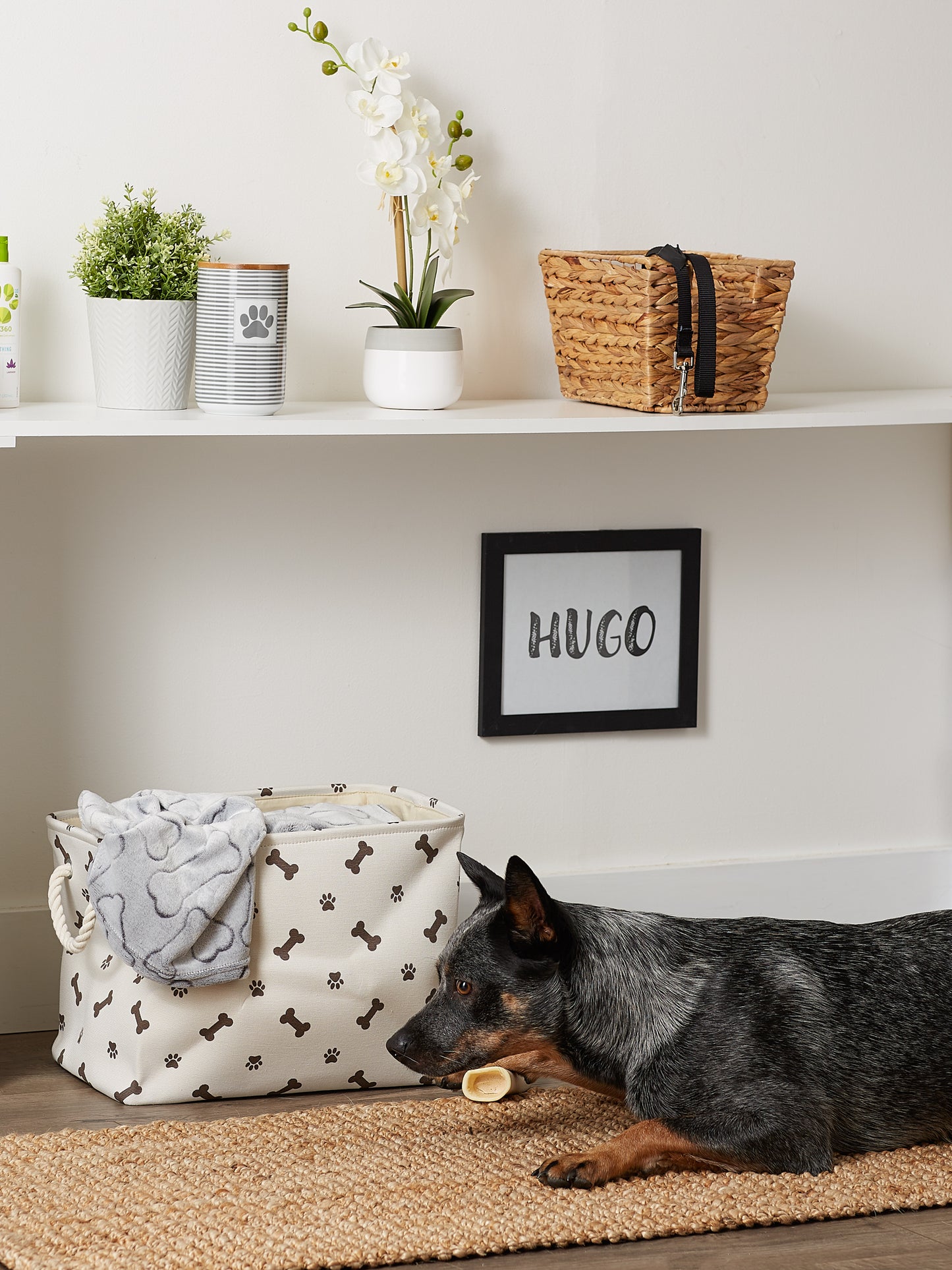 Bone Dry Collapsible Pet Storage Bin, Paw/Bone Print, Dark Brown, Medium - 16x10x12"