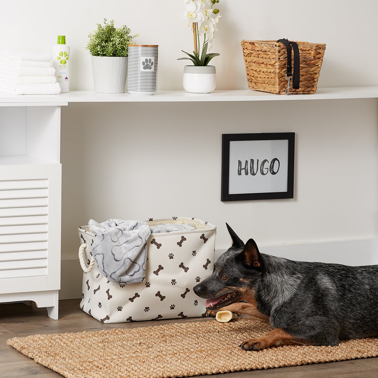 Bone Dry Collapsible Pet Storage Bin, Paw/Bone Print, Dark Brown, Medium - 16x10x12"