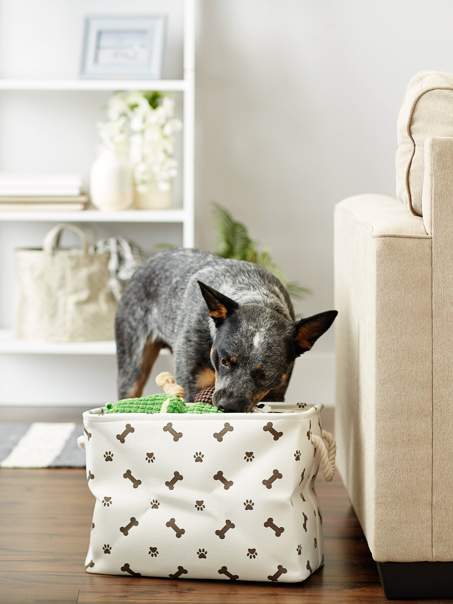 Bone Dry Collapsible Pet Storage Bin, Paw/Bone Print, Dark Brown, Medium - 16x10x12"