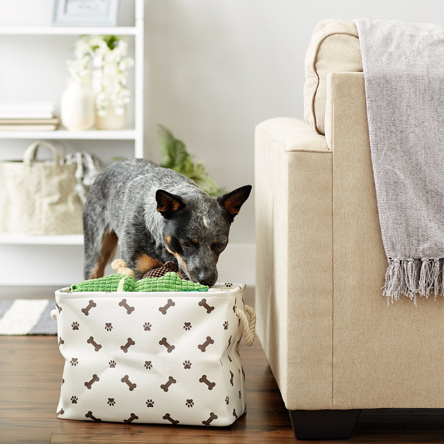 Bone Dry Collapsible Pet Storage Bin, Paw/Bone Print, Dark Brown, Medium - 16x10x12"