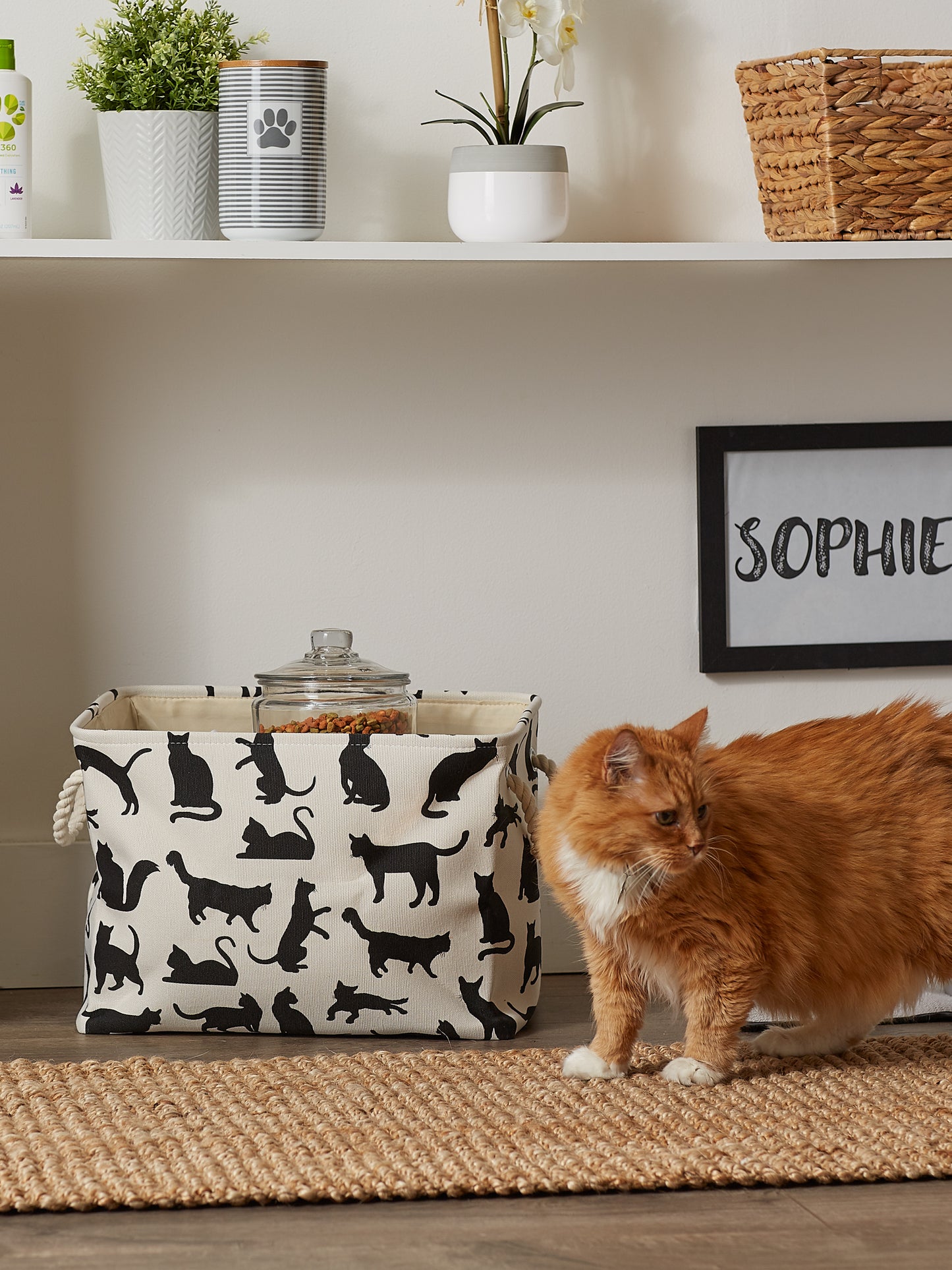 Bone Dry Collapsible Pet Storage Bin, Cat's Meow Print, Black/White, Large - 17.5x12x15"