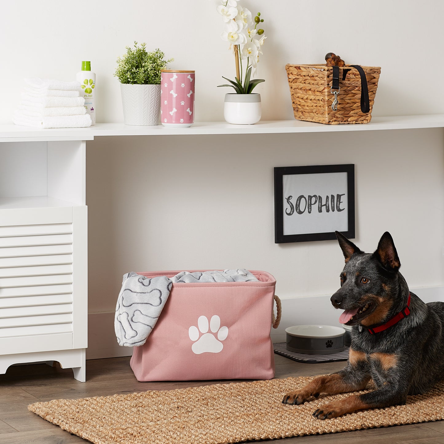 Bone Dry Collapsible Pet Storage Bin, Paw Print, Rose, Medium - 16x10x12"