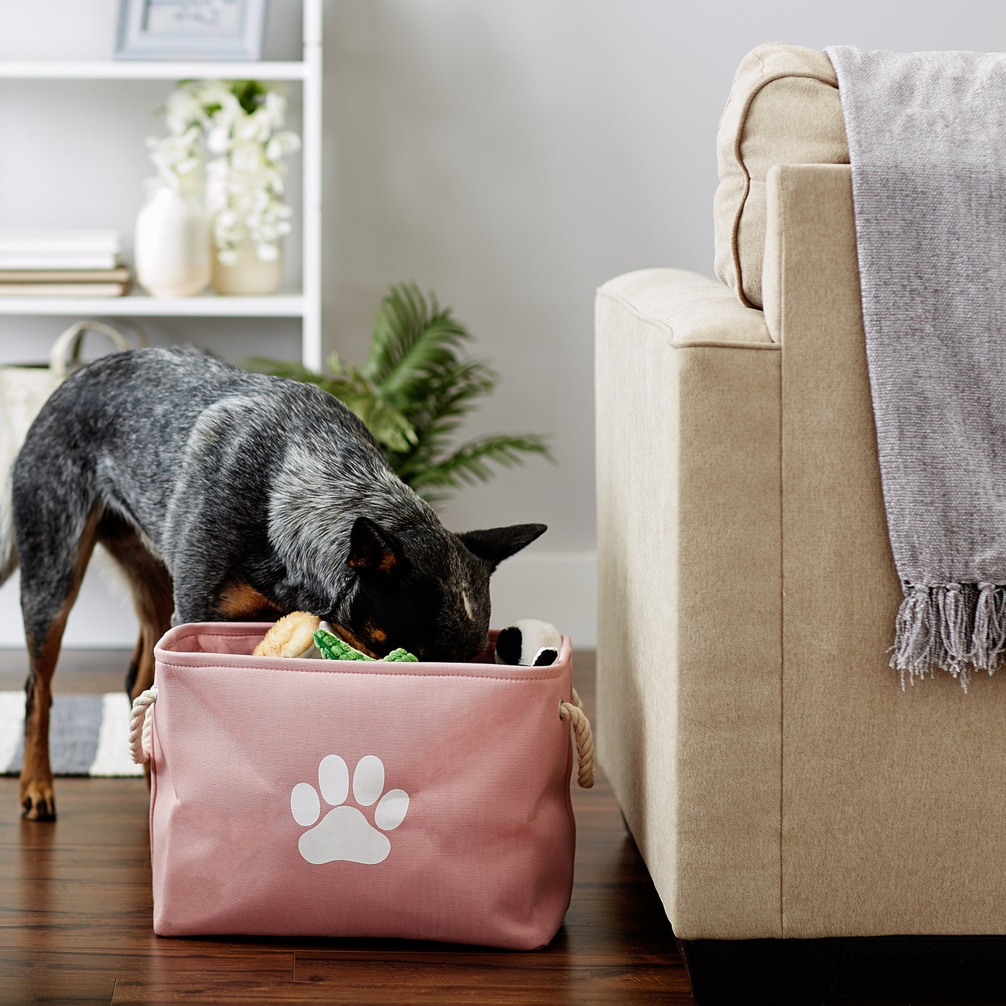 Bone Dry Collapsible Pet Storage Bin, Paw Print, Rose, Medium - 16x10x12"