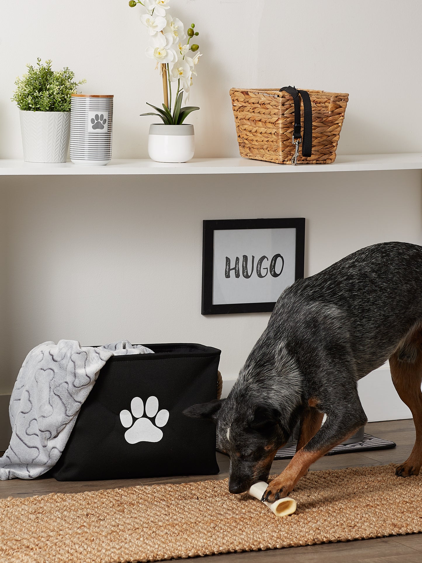 Bone Dry Collapsible Pet Storage Bin, Paw Print, Black, Medium - 16x10x12"