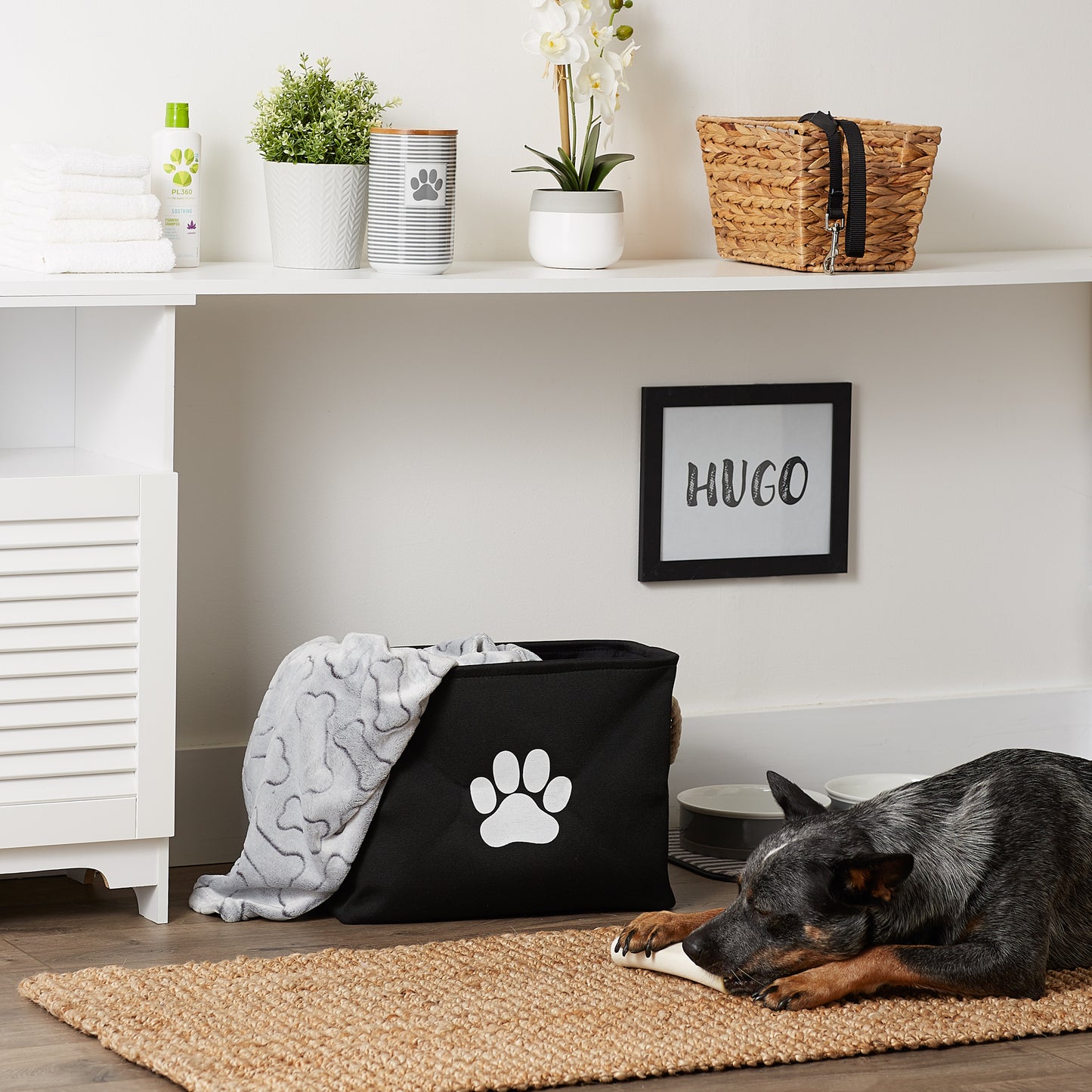 Bone Dry Collapsible Pet Storage Bin, Paw Print, Black, Medium - 16x10x12"