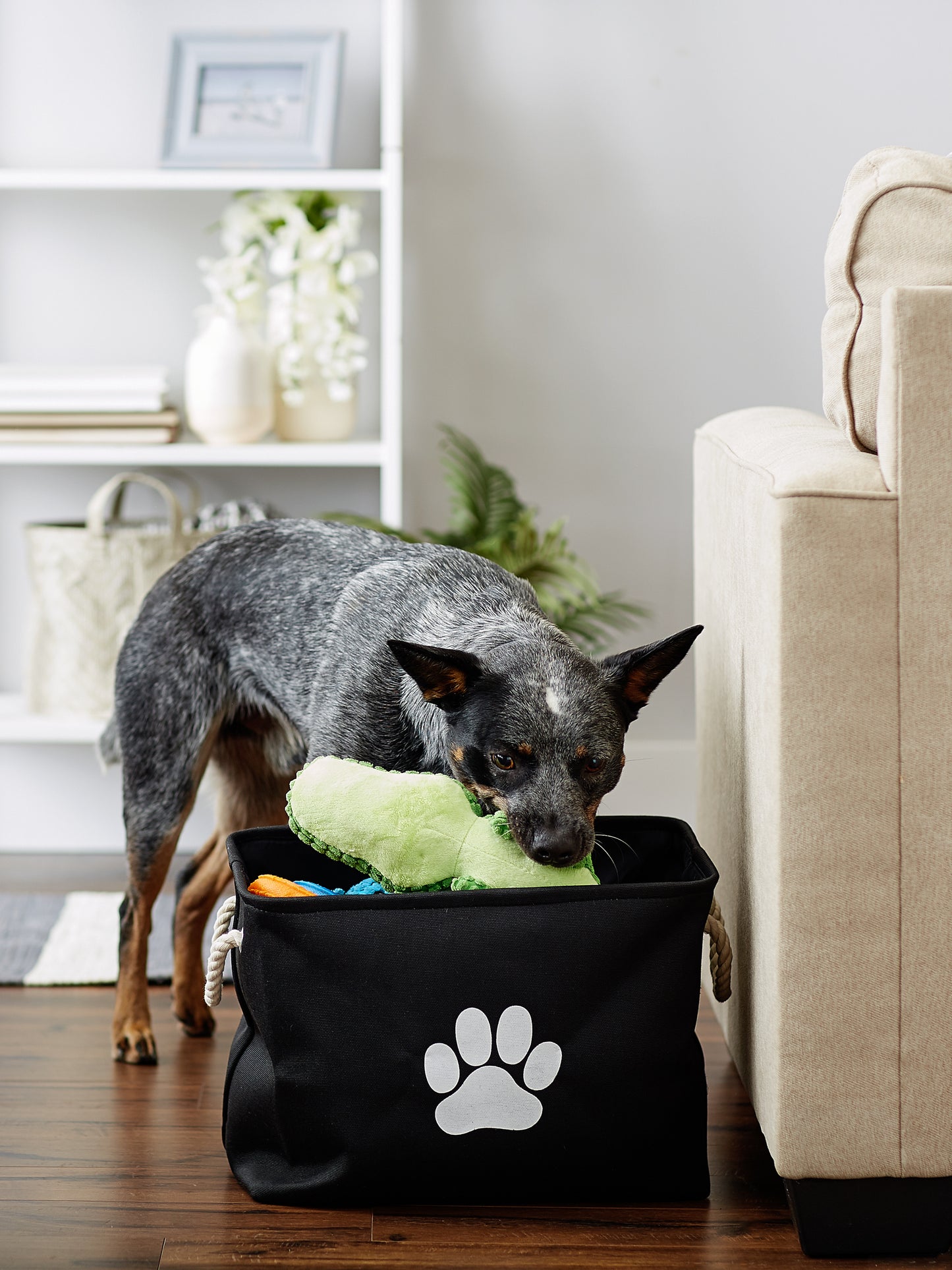 Bone Dry Collapsible Pet Storage Bin, Paw Print, Black, Medium - 16x10x12"