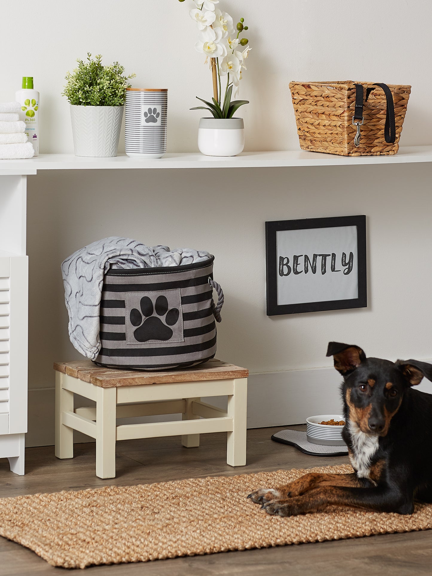 Bone Dry Pet Storage Bin, Striped Paw Patch, Black, Small Round - 12x9"