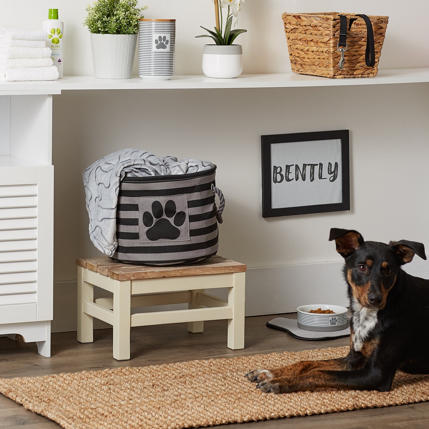 Bone Dry Pet Storage Bin, Striped Paw Patch, Black, Small Round - 12x9"