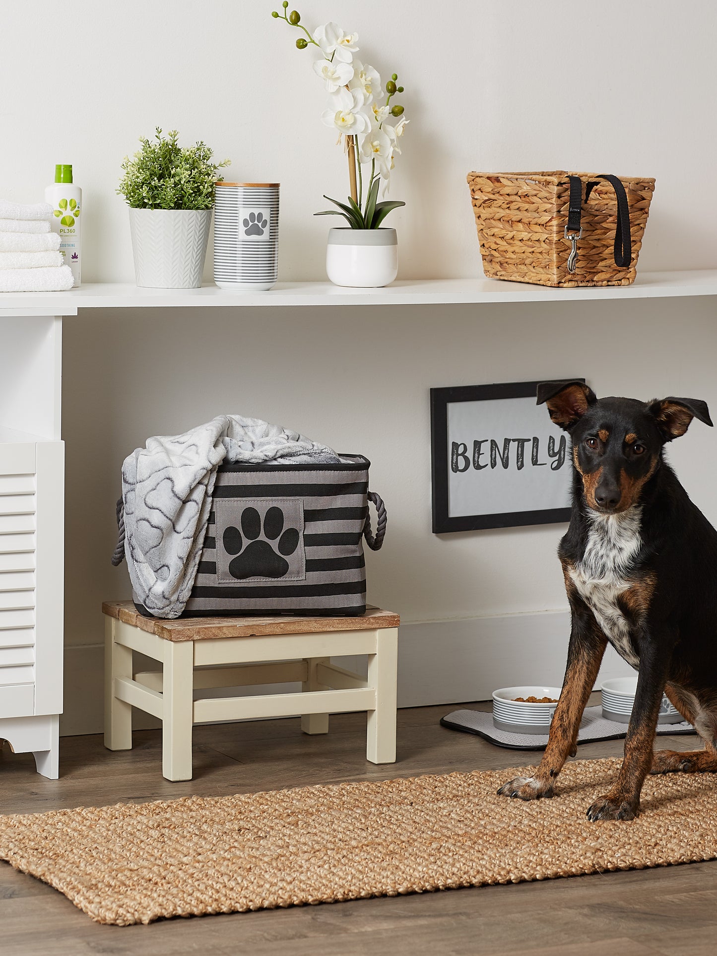 Bone Dry Pet Storage Bin, Striped Paw Patch, Black, Small - 14x8x9"