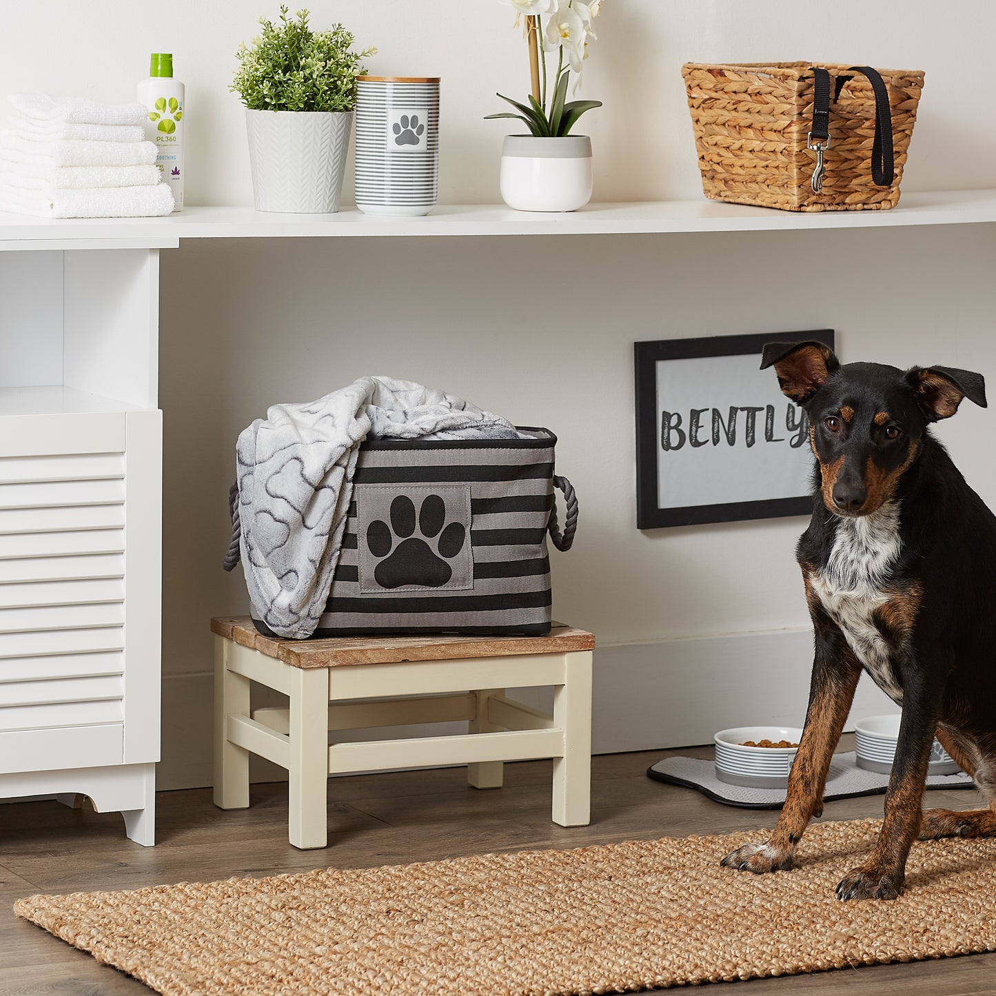 Bone Dry Pet Storage Bin, Striped Paw Patch, Black, Small - 14x8x9"