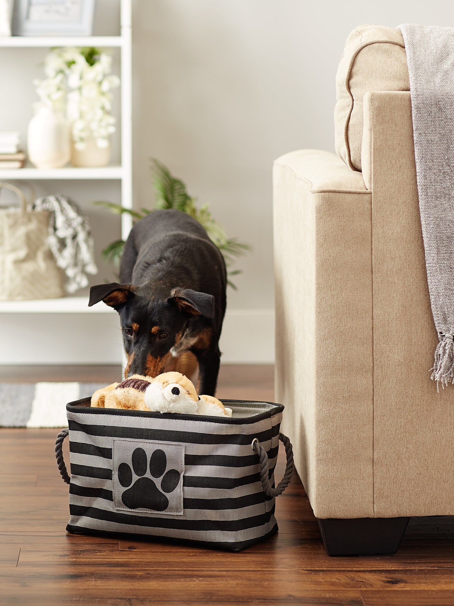 Bone Dry Pet Storage Bin, Striped Paw Patch, Black, Small - 14x8x9"