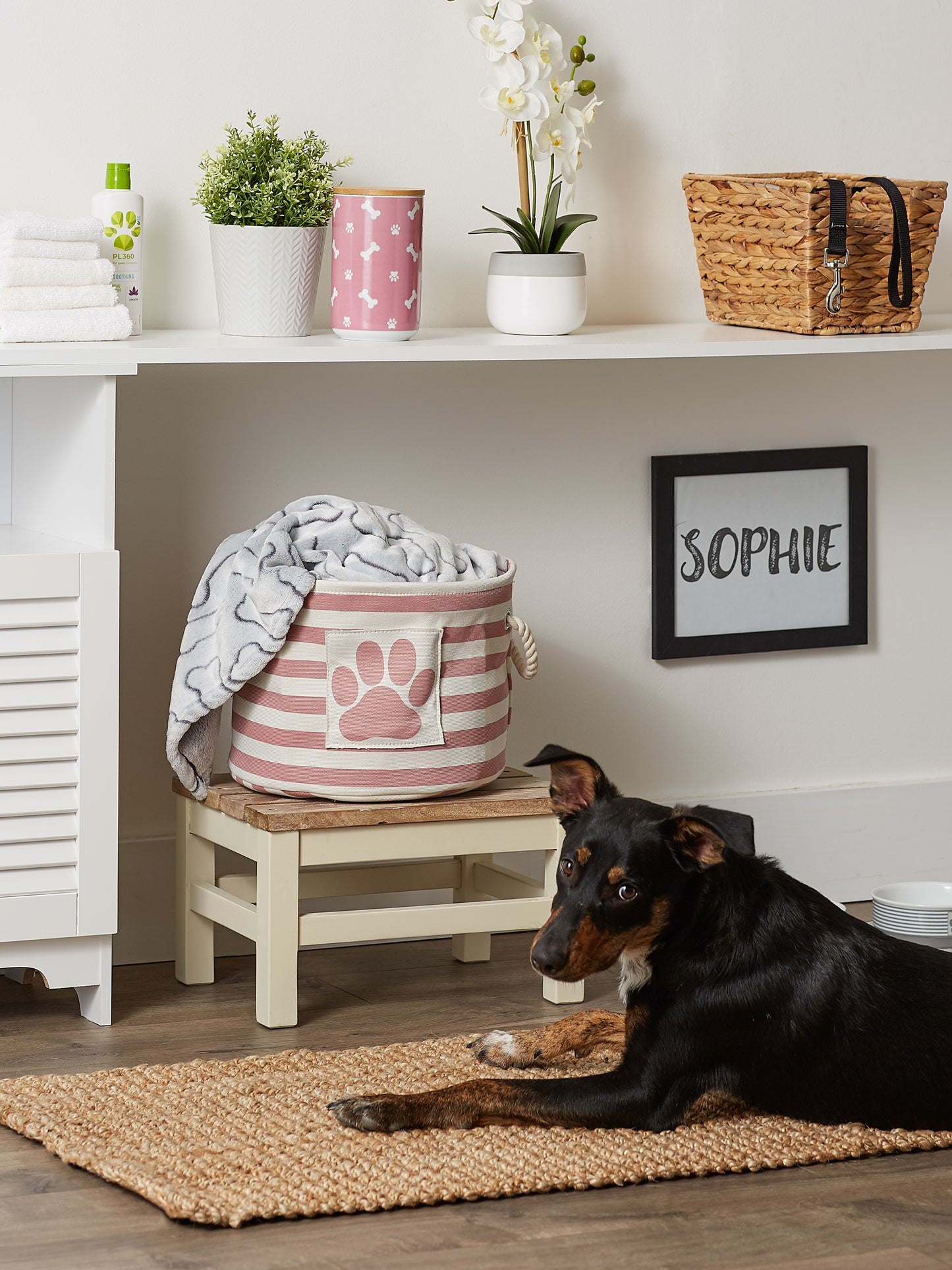 Bone Dry Pet Storage Bin, Striped Paw Patch, Rose, Small Round, 12x9"