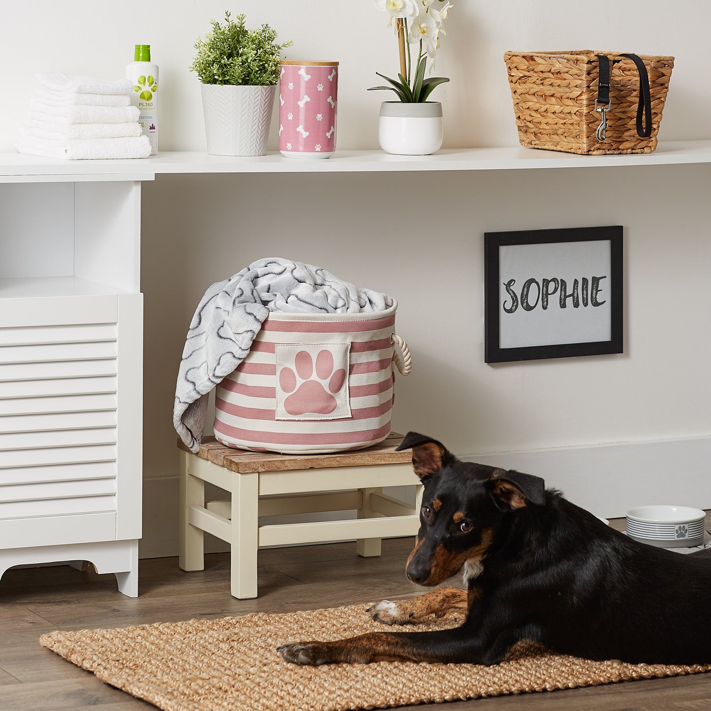 Bone Dry Pet Storage Bin, Striped Paw Patch, Rose, Small Round, 12x9"