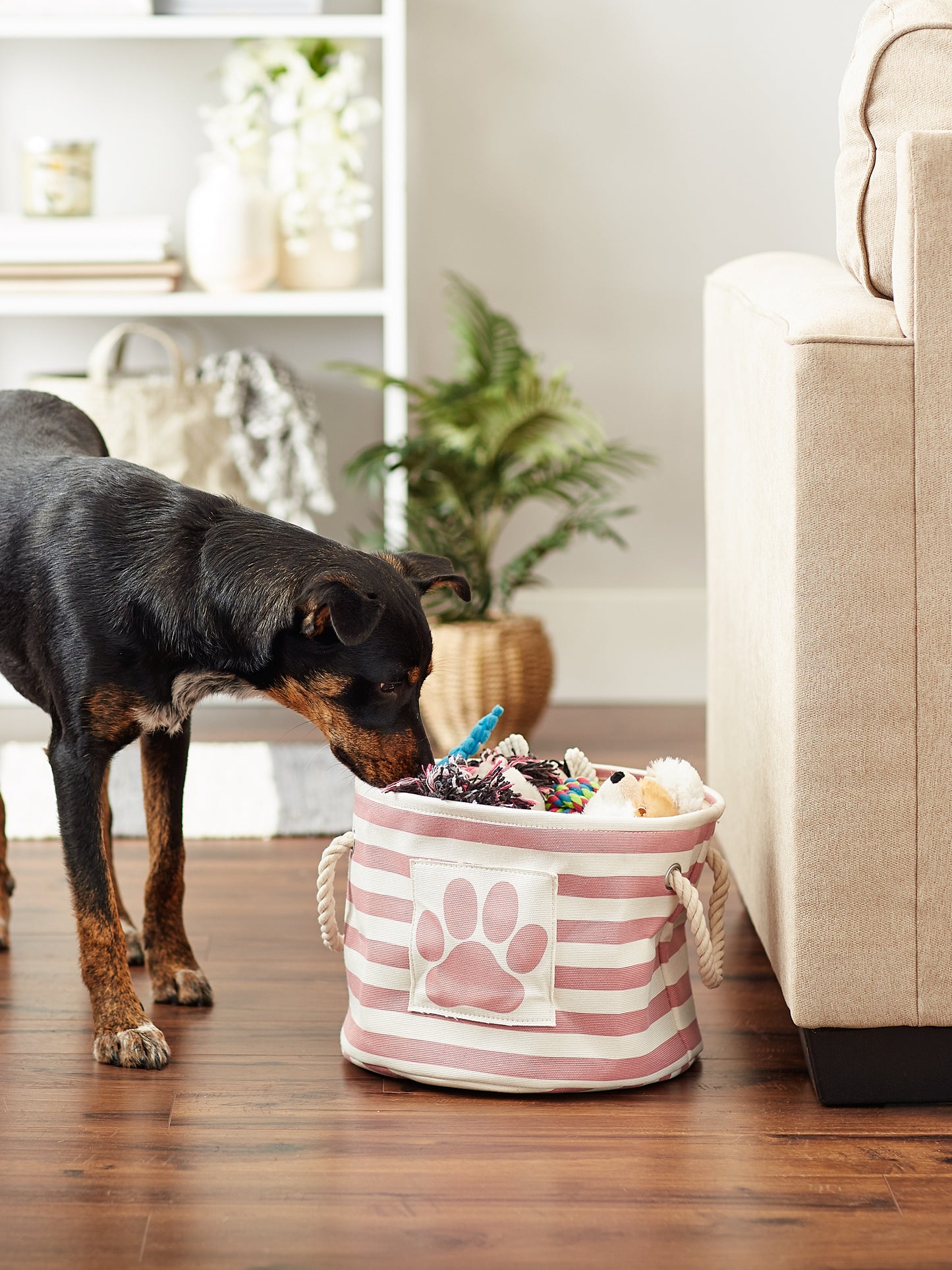 Bone Dry Pet Storage Bin, Striped Paw Patch, Rose, Small Round, 12x9"