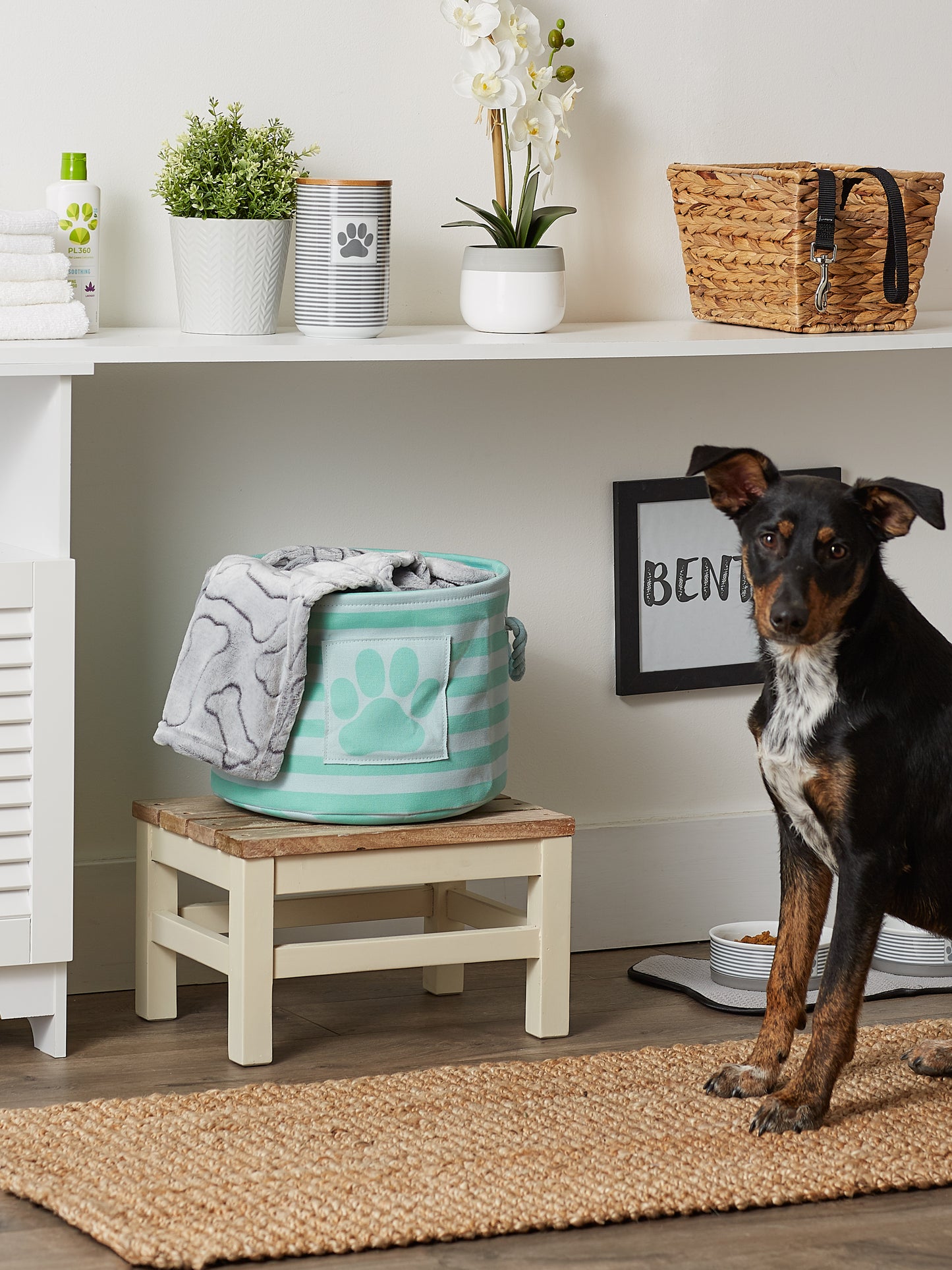 Polyester Pet Bin Stripe With Paw Patch Aqua Round Small 9X12X12