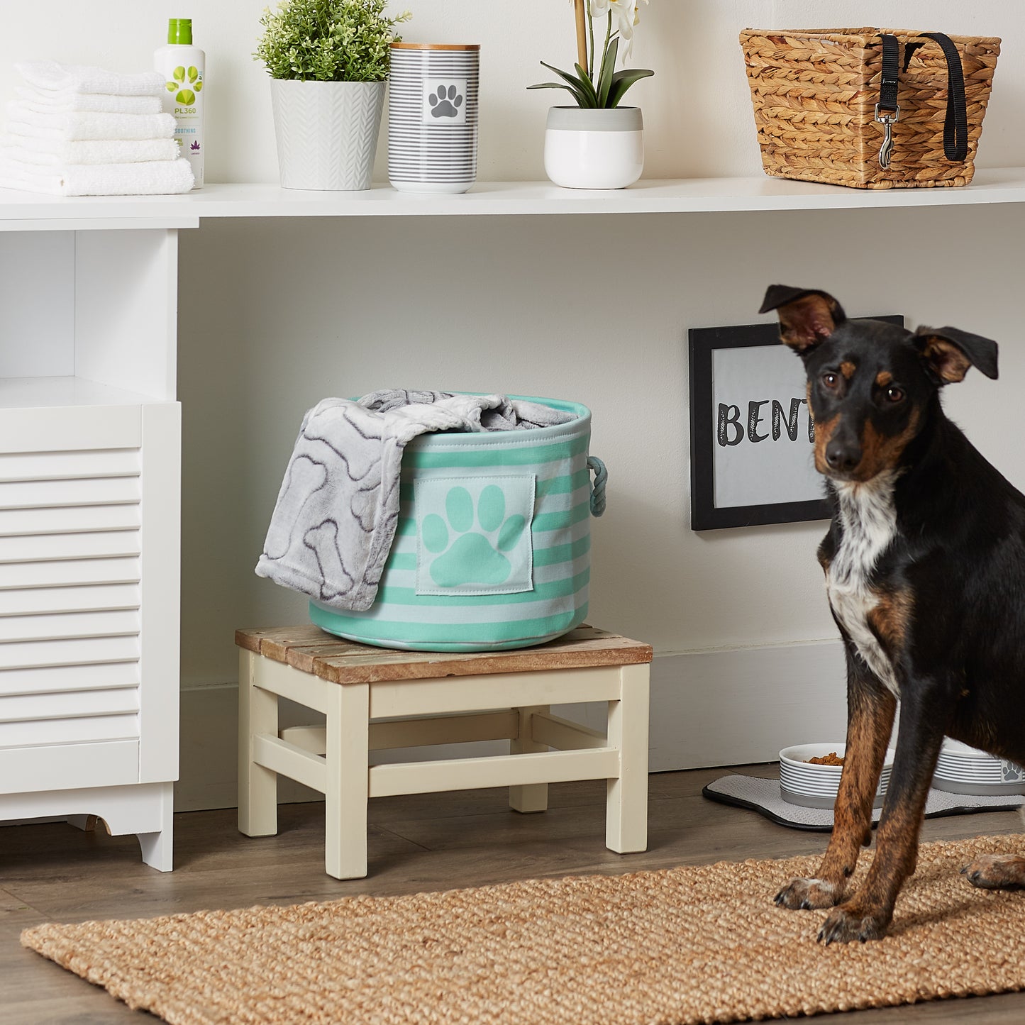 Polyester Pet Bin Stripe With Paw Patch Aqua Round Small 9X12X12