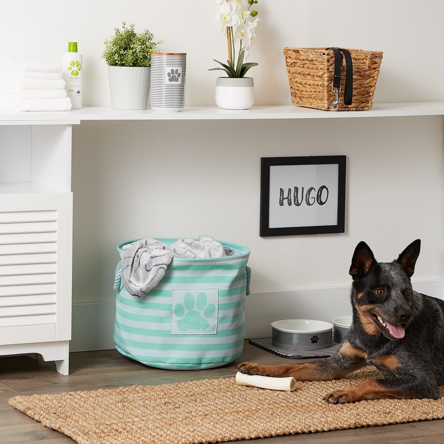 Polyester Pet Bin Stripe With Paw Patch Aqua Round Medium 12X15X15