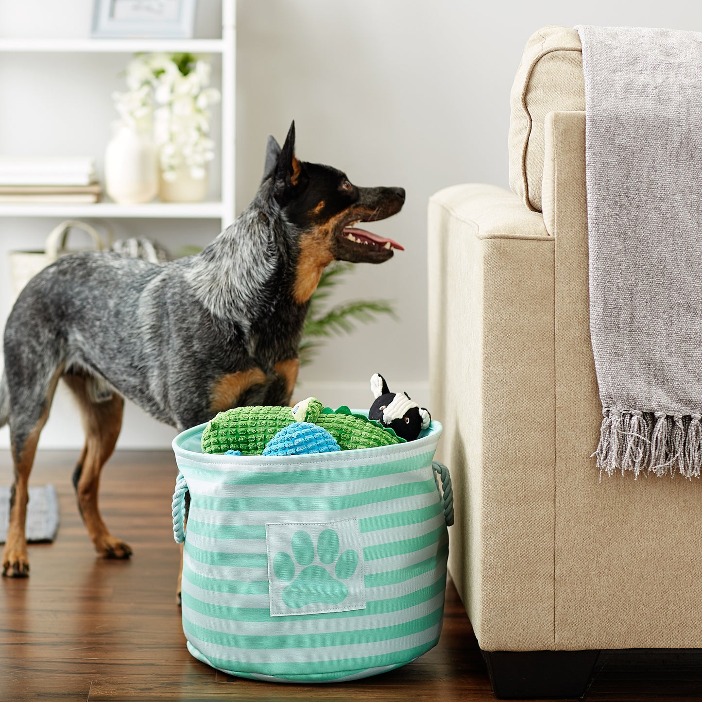 Polyester Pet Bin Stripe With Paw Patch Aqua Round Medium 12X15X15