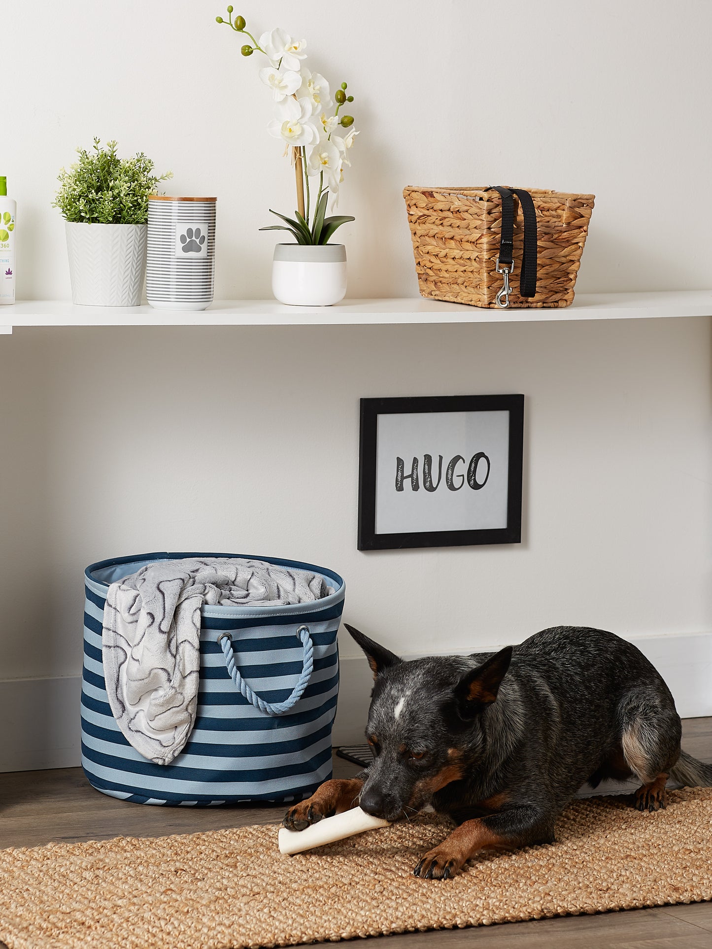 Bone Dry Pet Storage Bin, Striped Paw Patch, Dark Navy, Medium Round, 15x12"