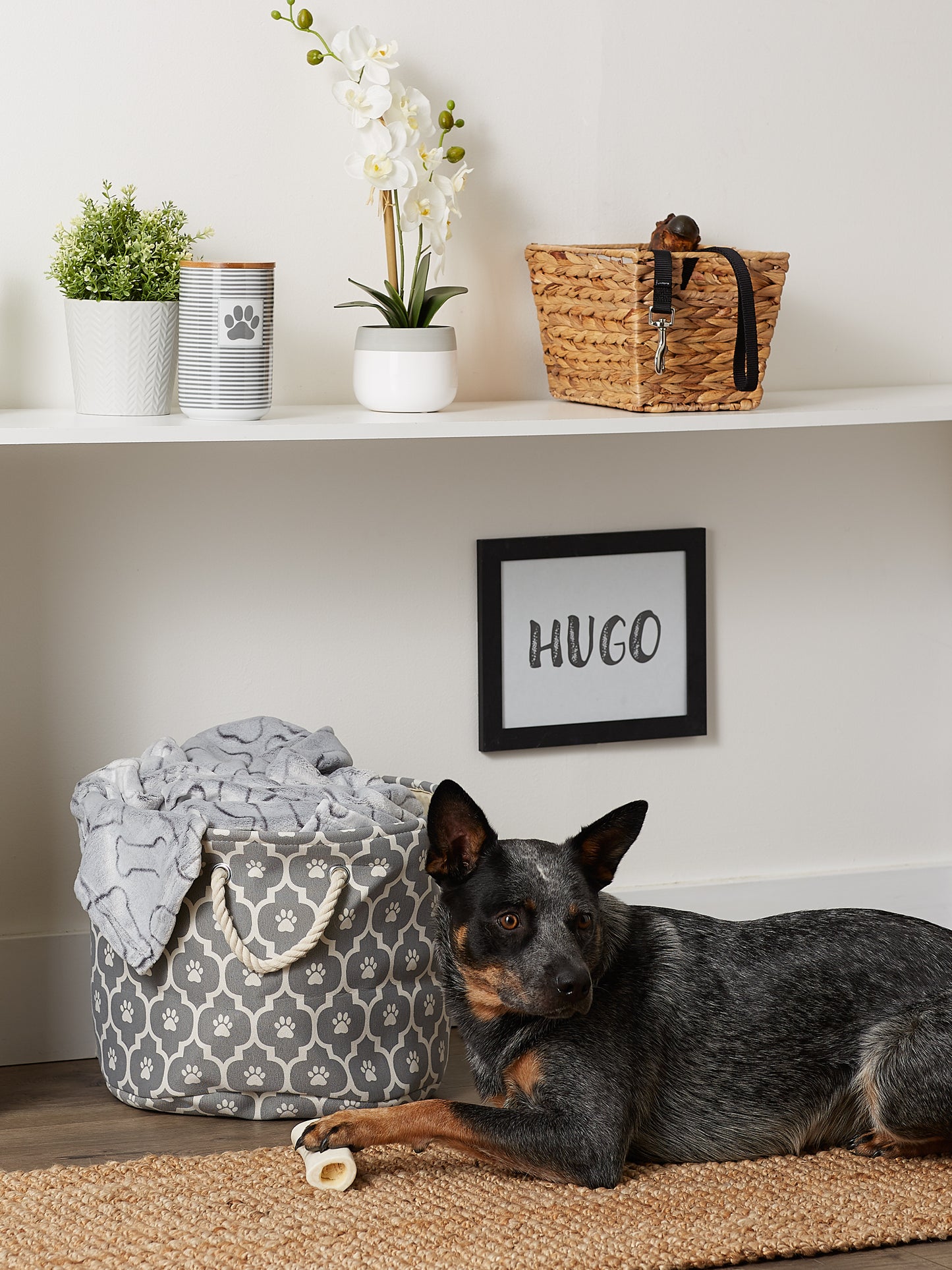 Bone Dry Pet Storage Bin, Lattice Paw Print, Gray, Medium Round - 15x12"