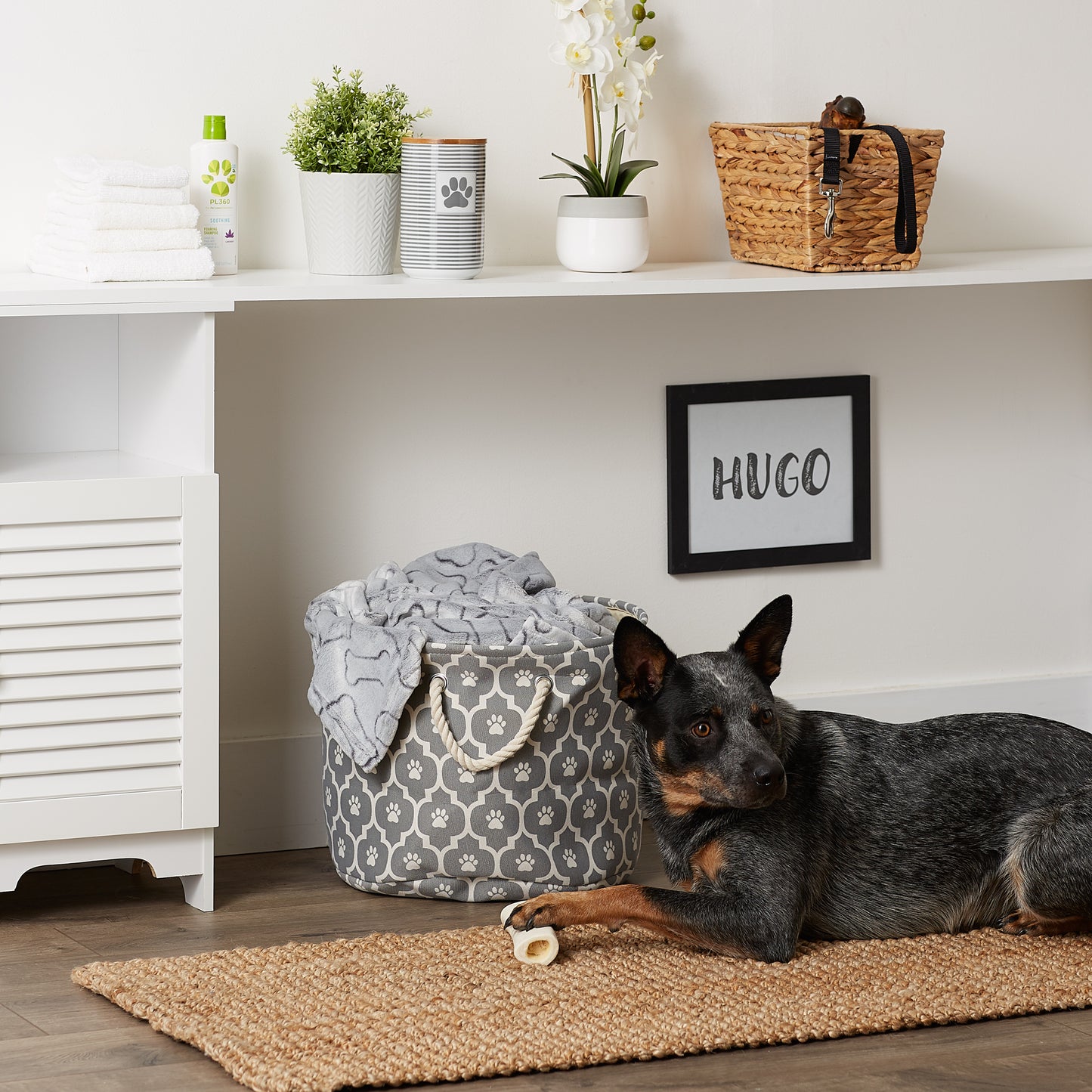 Bone Dry Pet Storage Bin, Lattice Paw Print, Gray, Medium Round - 15x12"