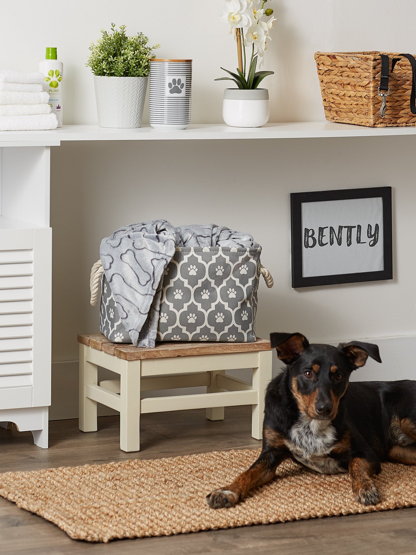 Bone Dry Pet Storage Bin, Lattice Paw Print, Gray, Small - 14x8x9"