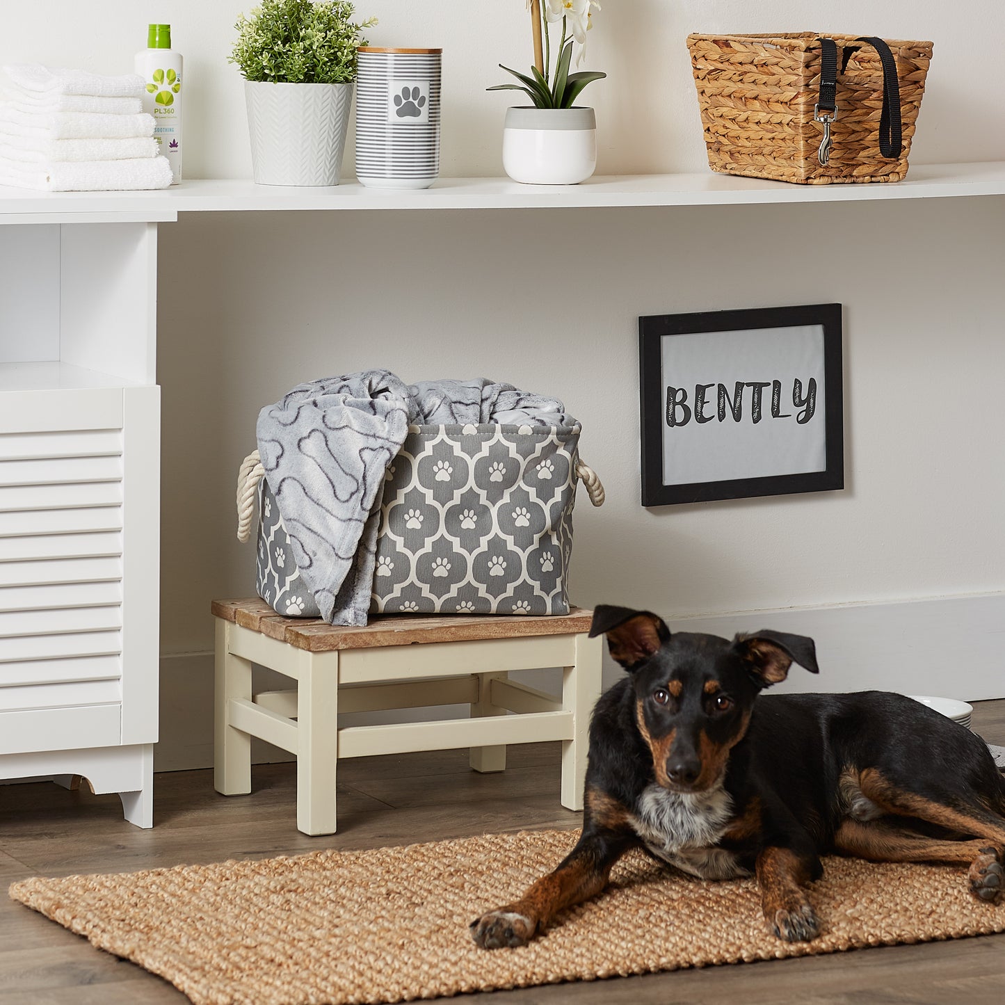 Bone Dry Pet Storage Bin, Lattice Paw Print, Gray, Small - 14x8x9"