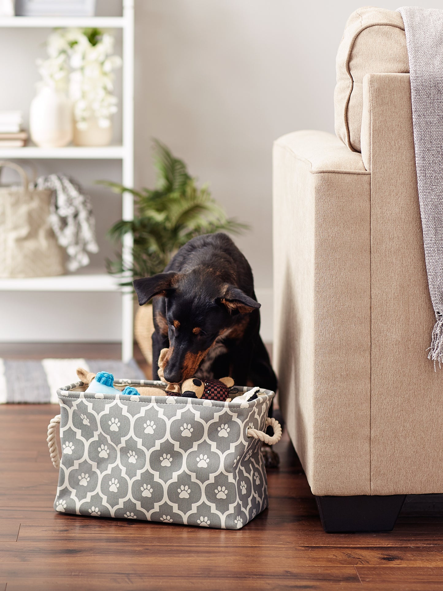 Bone Dry Pet Storage Bin, Lattice Paw Print, Gray, Small - 14x8x9"