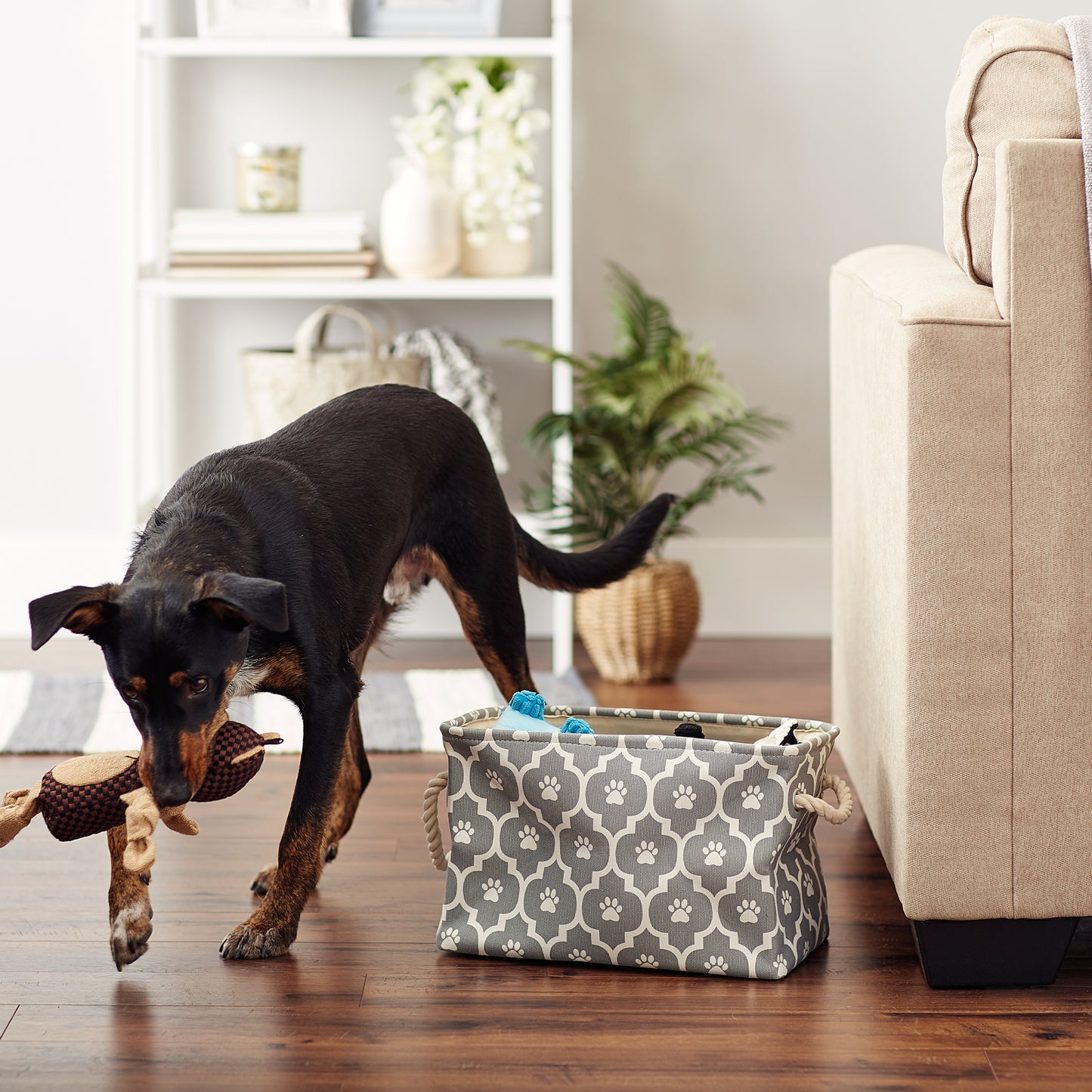 Bone Dry Pet Storage Bin, Lattice Paw Print, Gray, Small - 14x8x9"